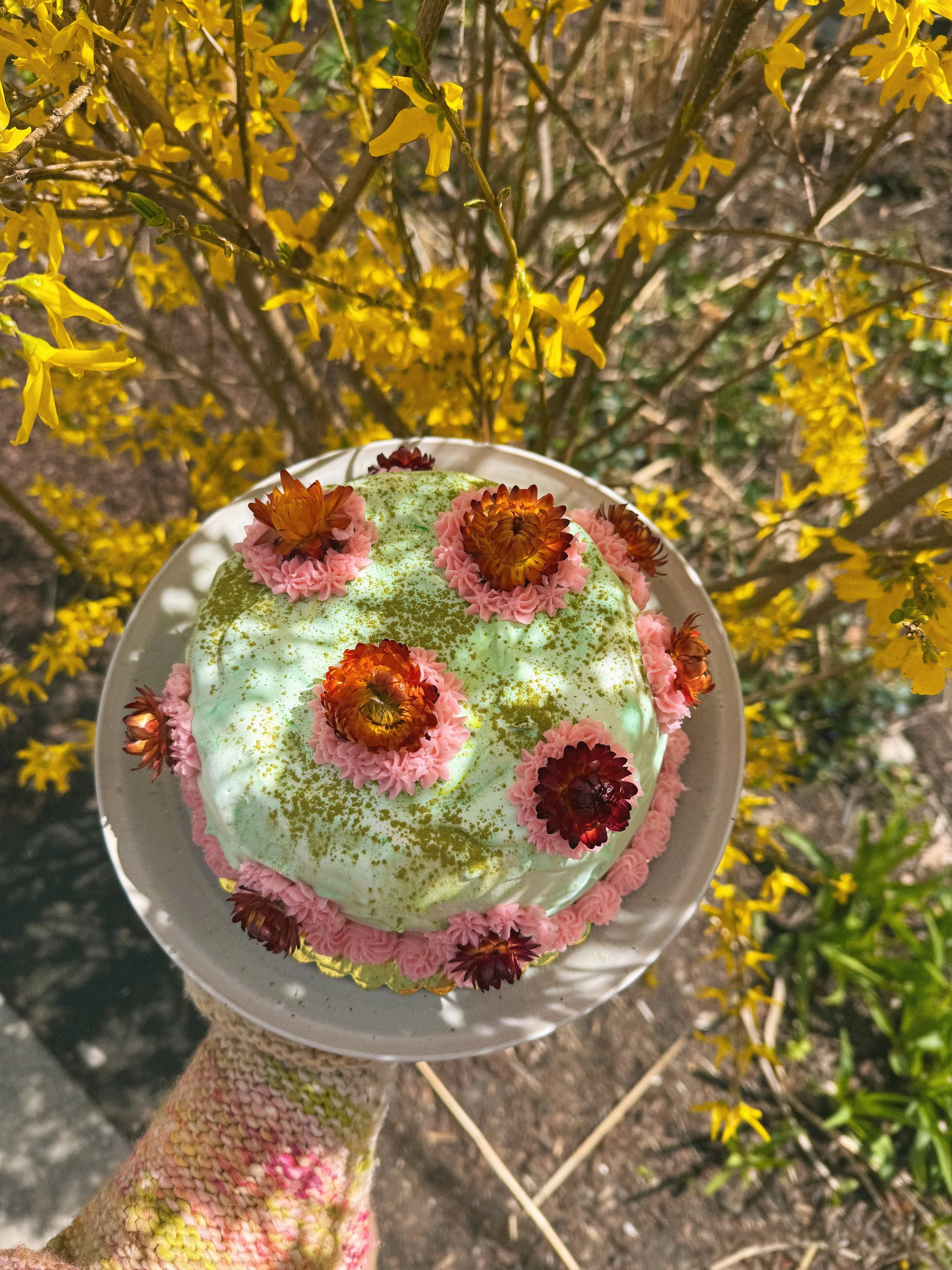 Timnah's Matcha Cake.JPG