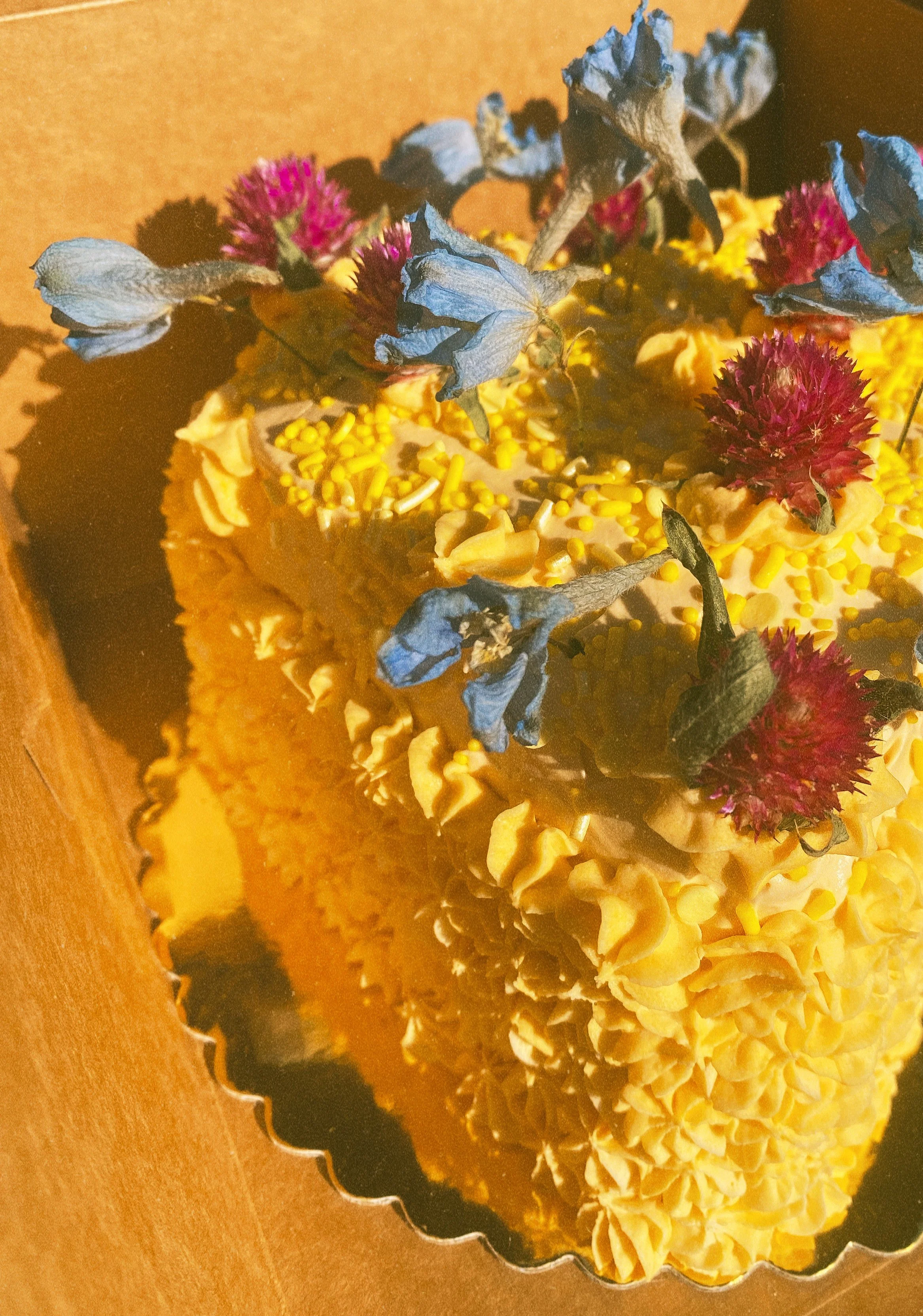 Ry's Cake (side profile).JPG