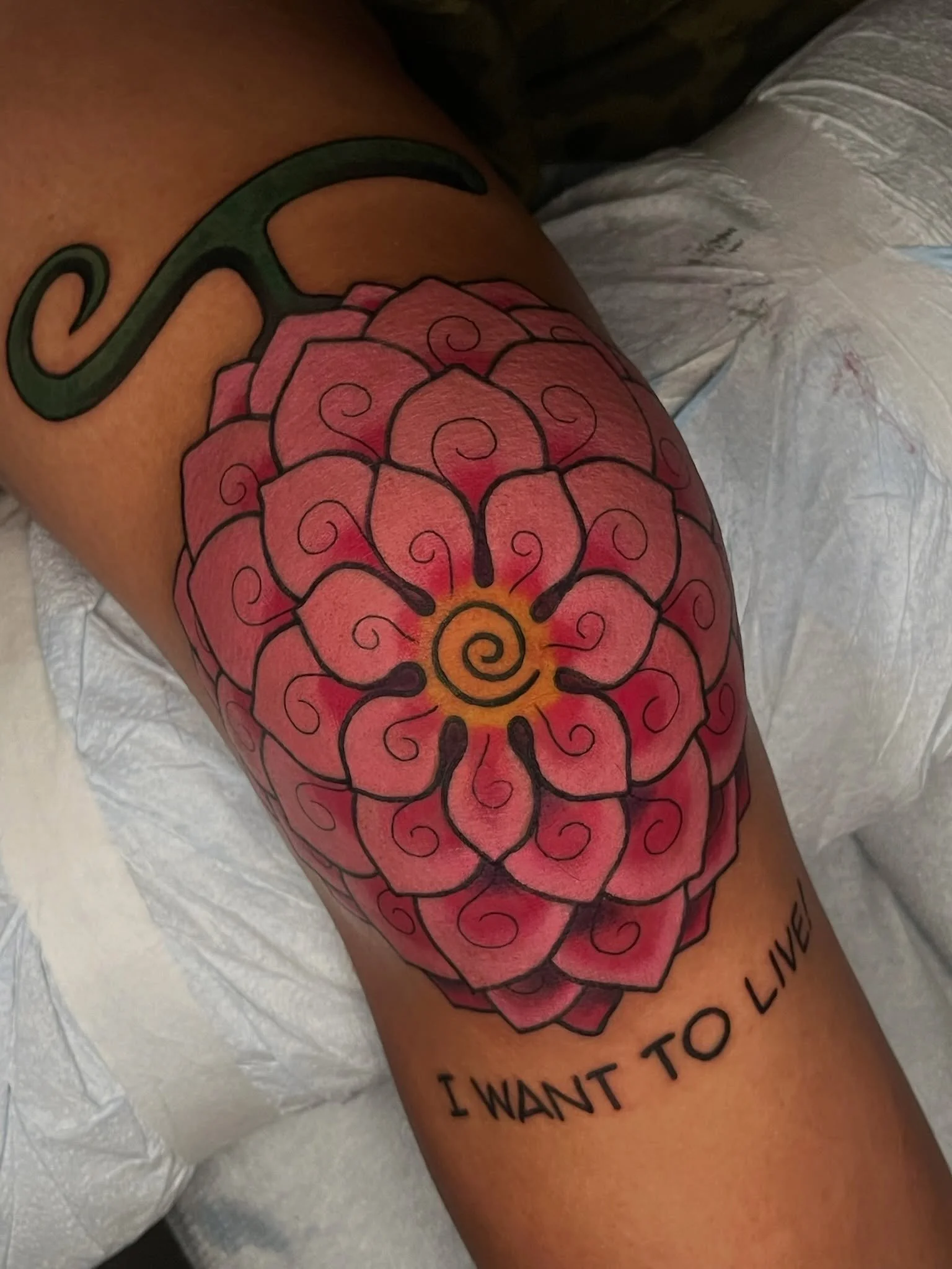 🩸FLOWERxFLOWER🩸

Nico robin&rsquo;s devil fruit, the flower flower fruit knee jammer 🌸
Thanks so much for the trust and thanks for looking! 🫶🏻

#animetatto #onepiecetattoo #nicorobin #colortattoo #kneetattoo