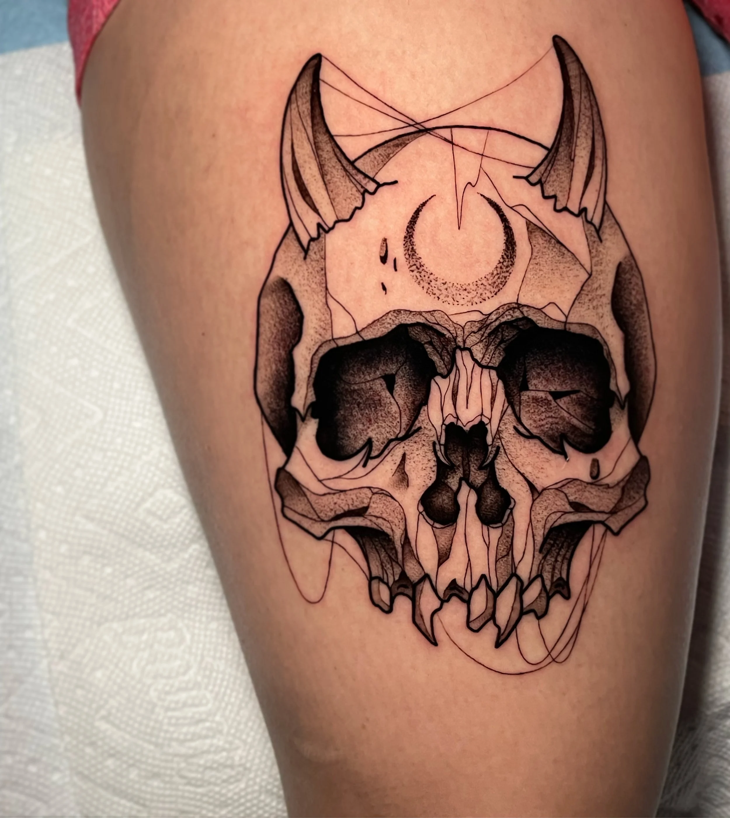 blackwork skull with horns.jpeg