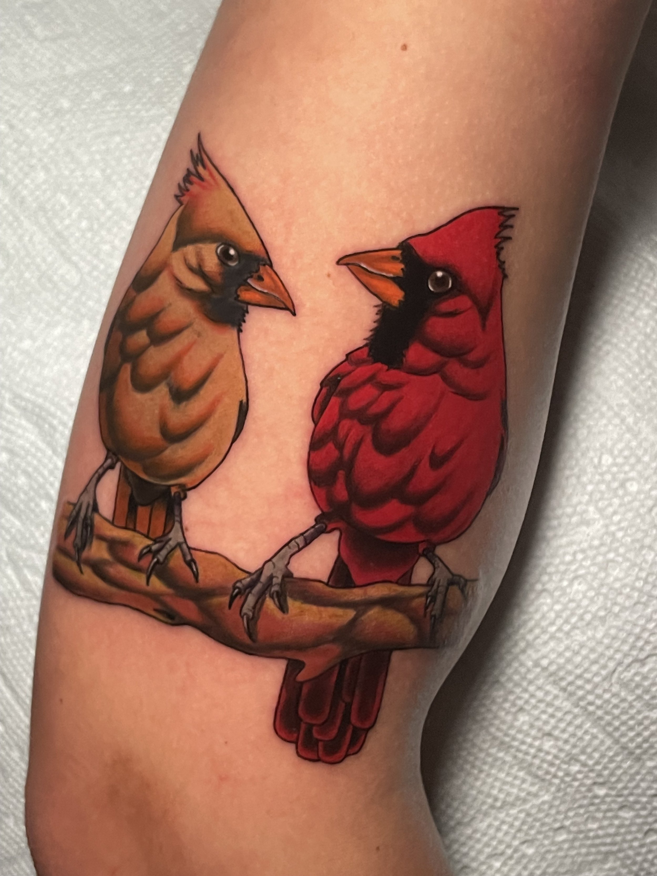 neo cardinals2.jpeg