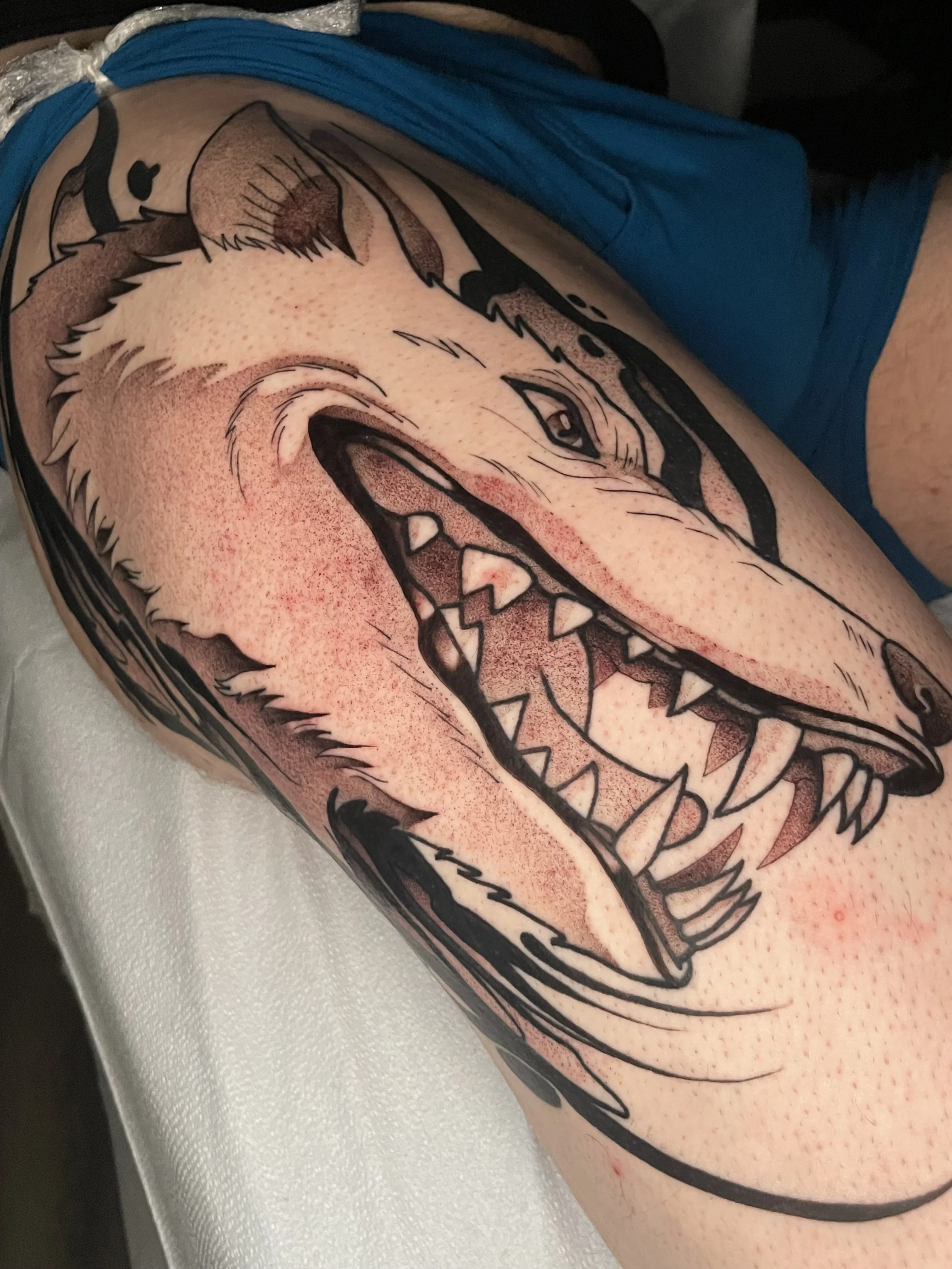 princess mononoke moro.jpeg