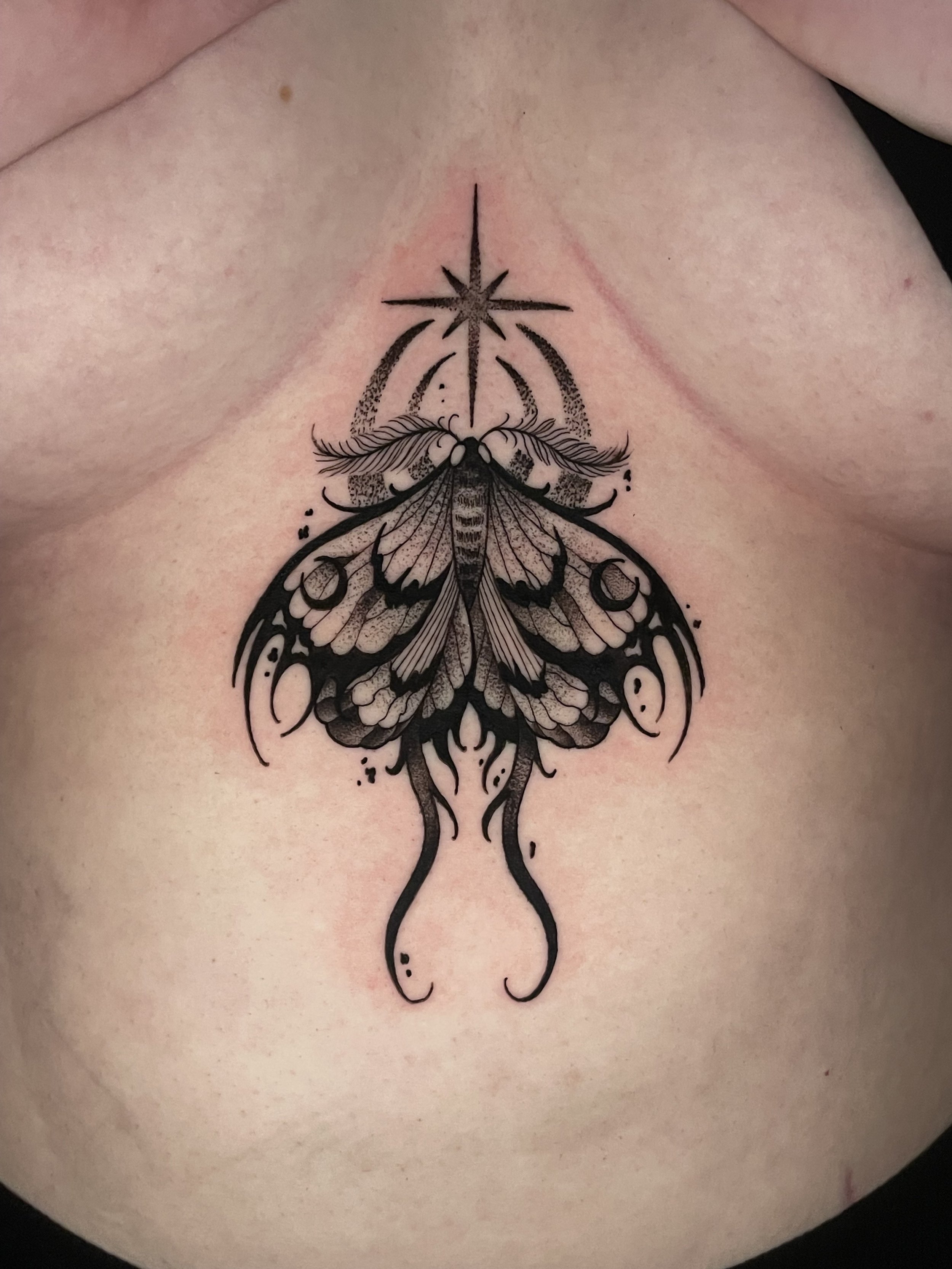 blackwork moth.jpeg