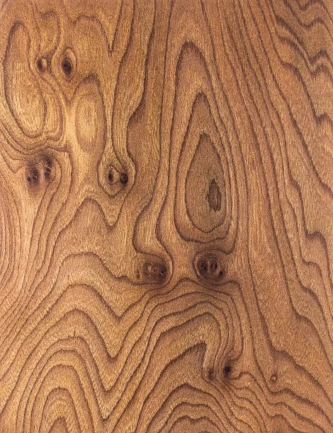 British Figured Elm