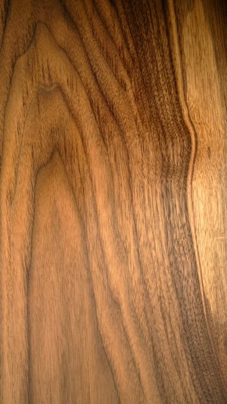 European Walnut