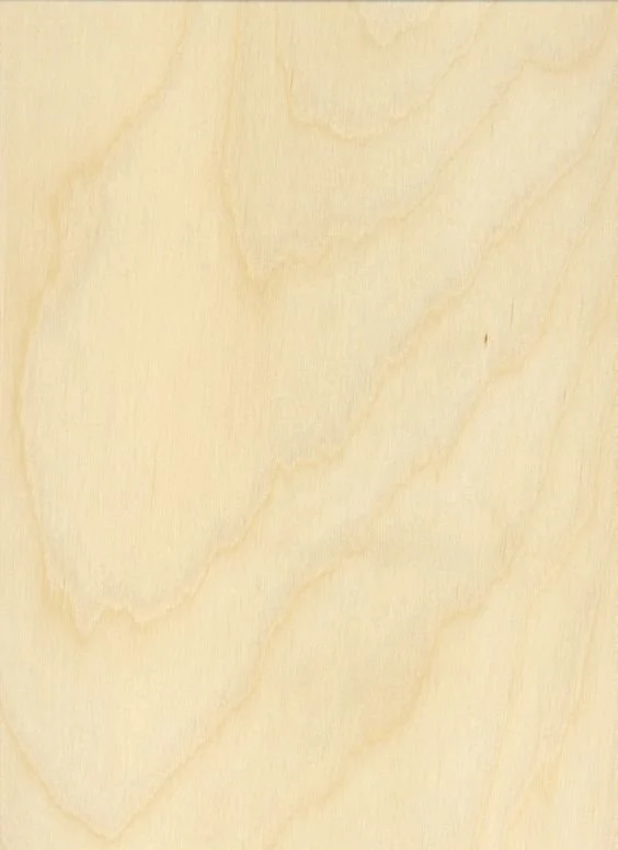Birch Ply