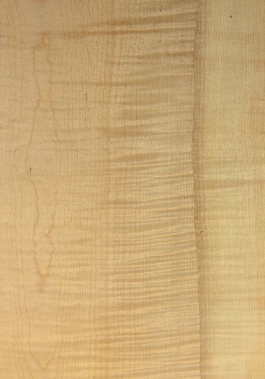 English Ripple Sycamore