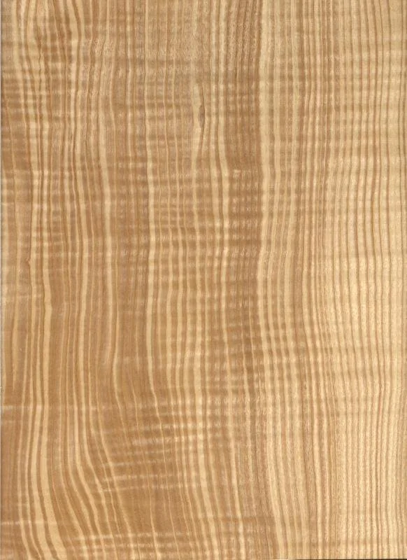 English Olive Ash