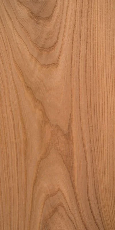 British Elm