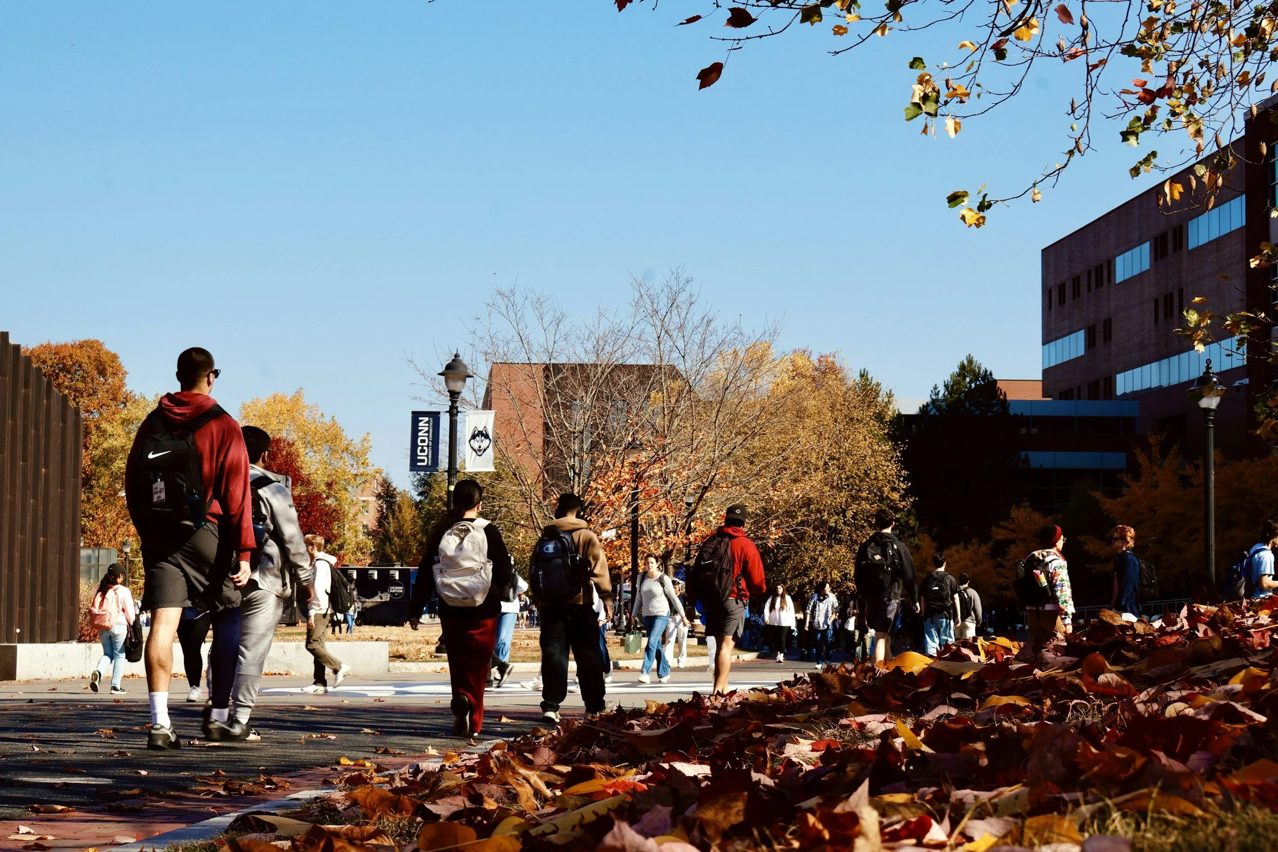 Students walking on a university campus in autumn, with fallen leaves on the ground, students carrying backpacks, and trees with colorful fall foliage, UConn sign in the background.