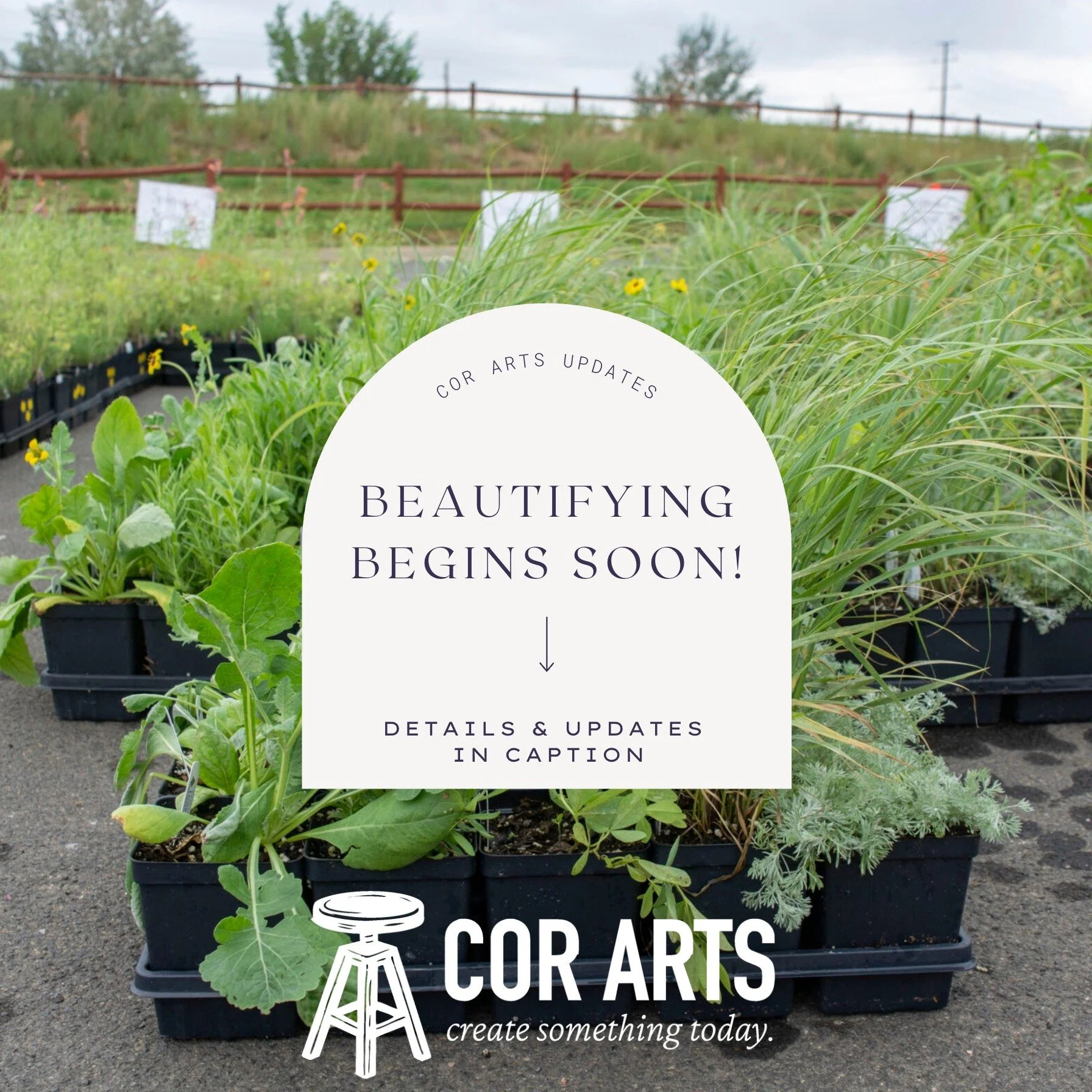 Plants are going in! Now that the weather is nice (and hopefully more consistent??), we will begin planting our beautiful native plants in the front of the property. We are doing this work ourselves, so sorry in advance for the potentially slow proce