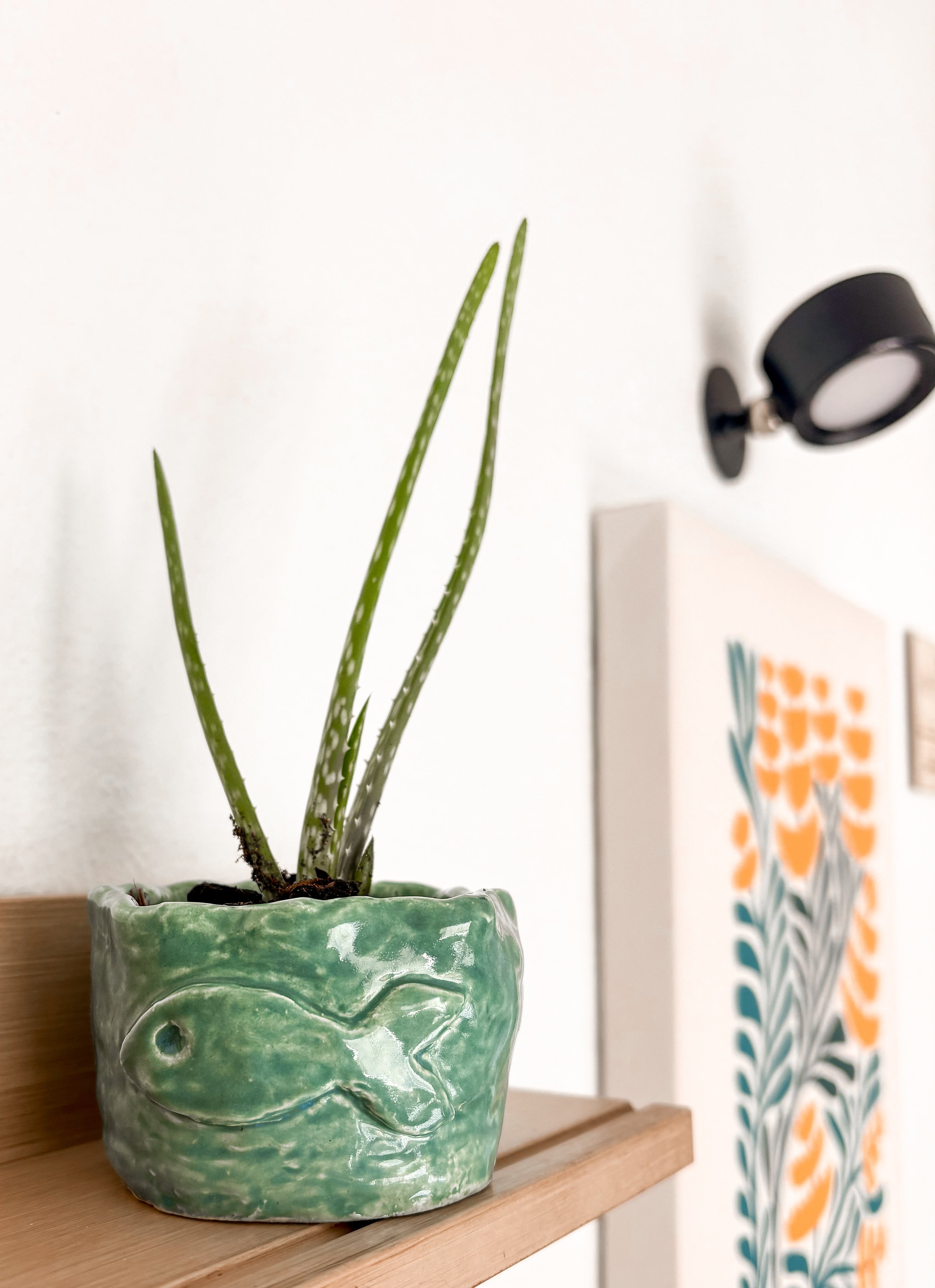 Hand-built Planters (free baby plant included!)