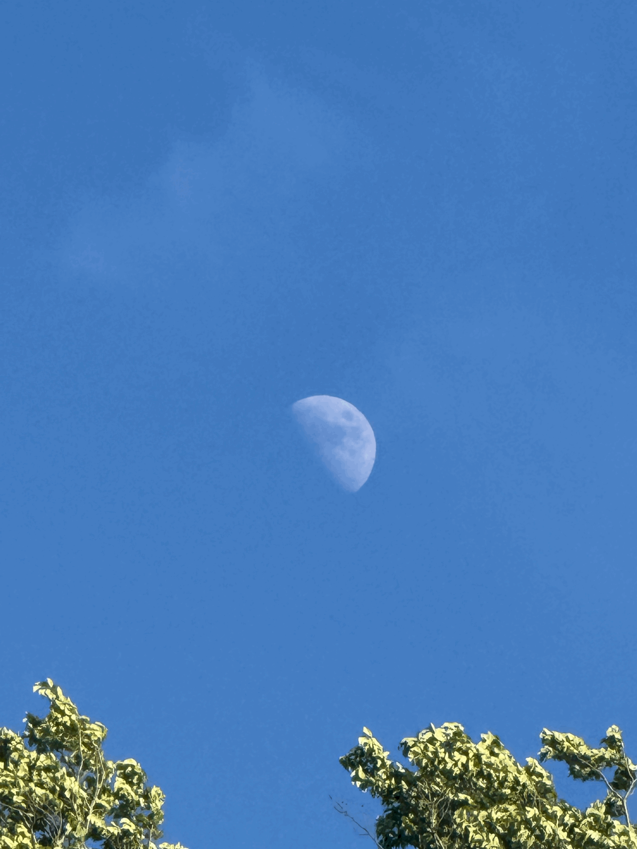 the moon