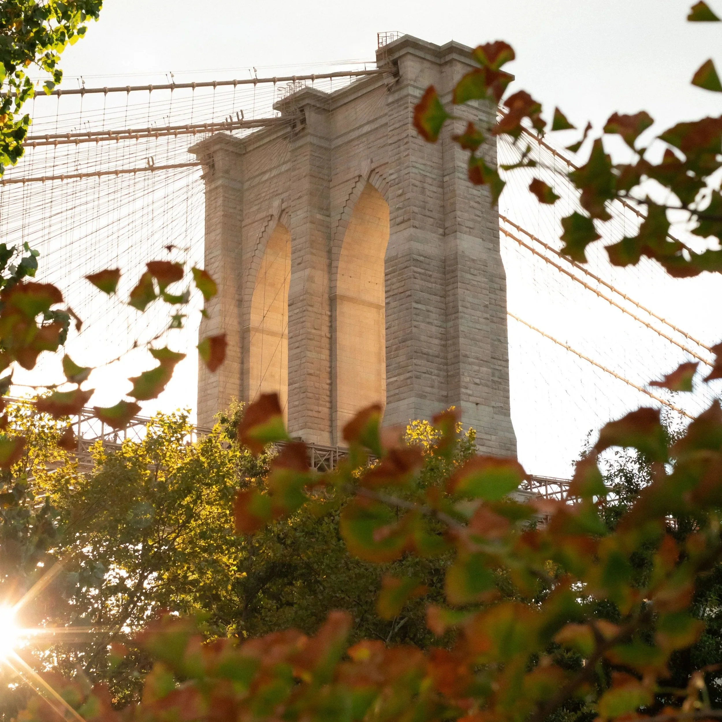 The Brooklyn Bridge viewed from a low angle during sunset, with autumn foliage in the foreground.
