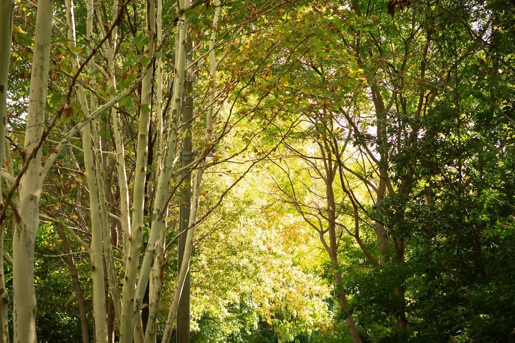 Accessing The Hidden Job Market