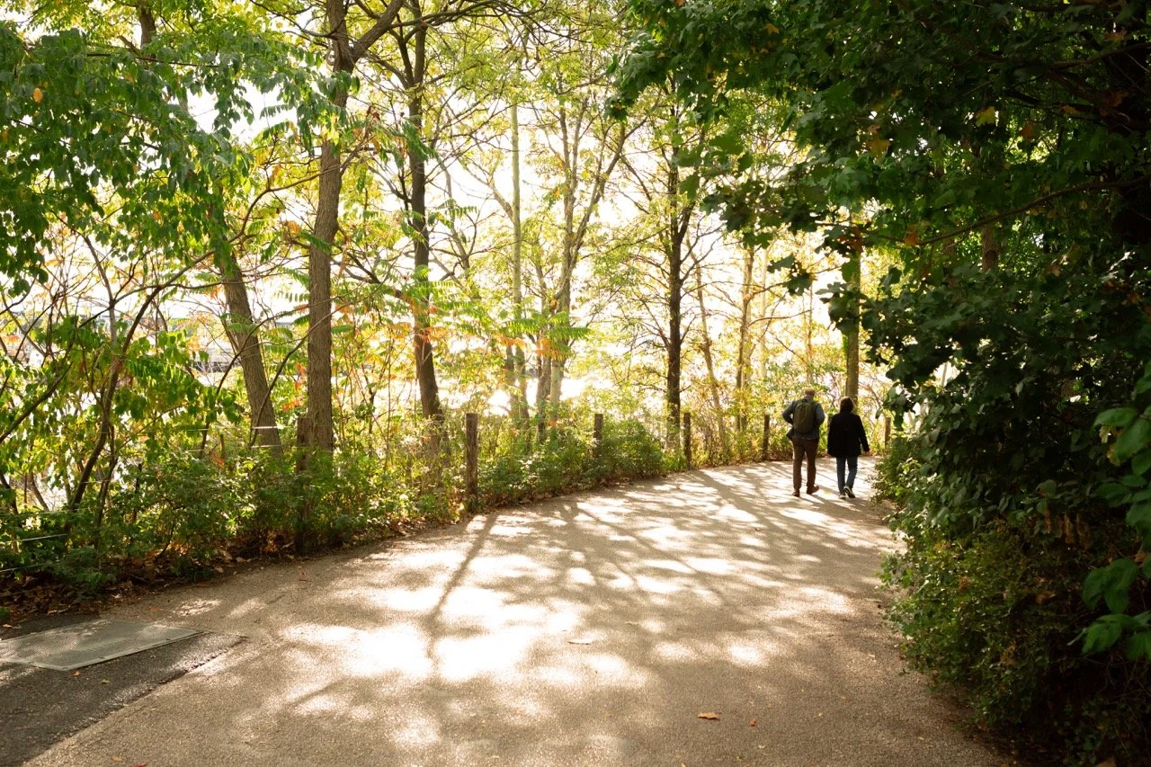 Two people walking on a shaded path in a wooded park during daylight.
