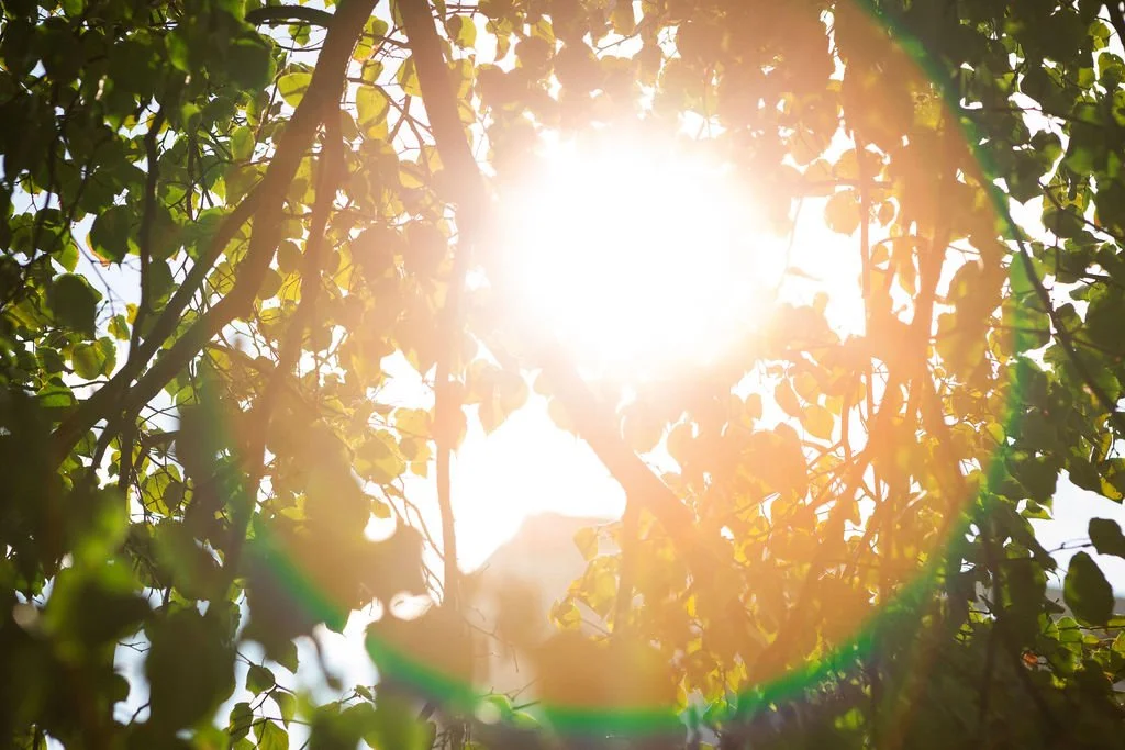 Are you ready to job search?