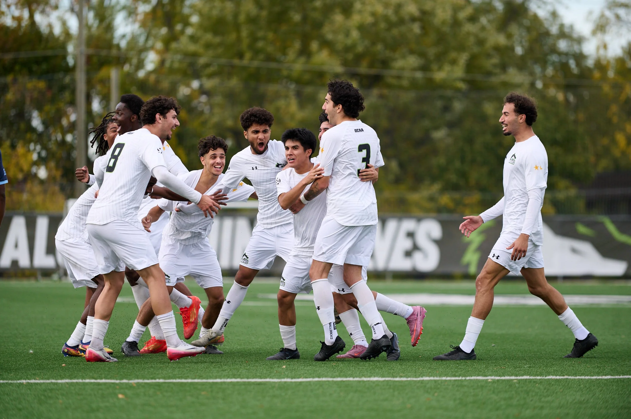 Soccer players celebrating on the field in uniform, with some clapping and others hugging, during a match.