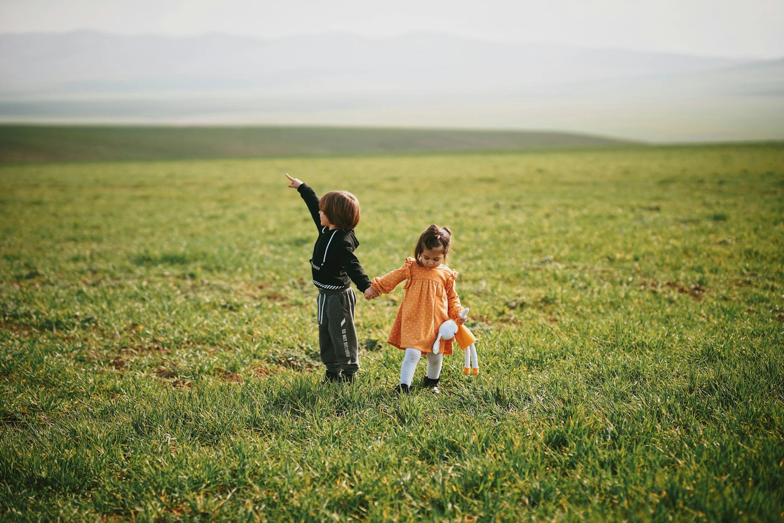 Two young children, a boy and a girl, walking hand in hand in a vast green field on a cloudy day, with the boy pointing into the distance.