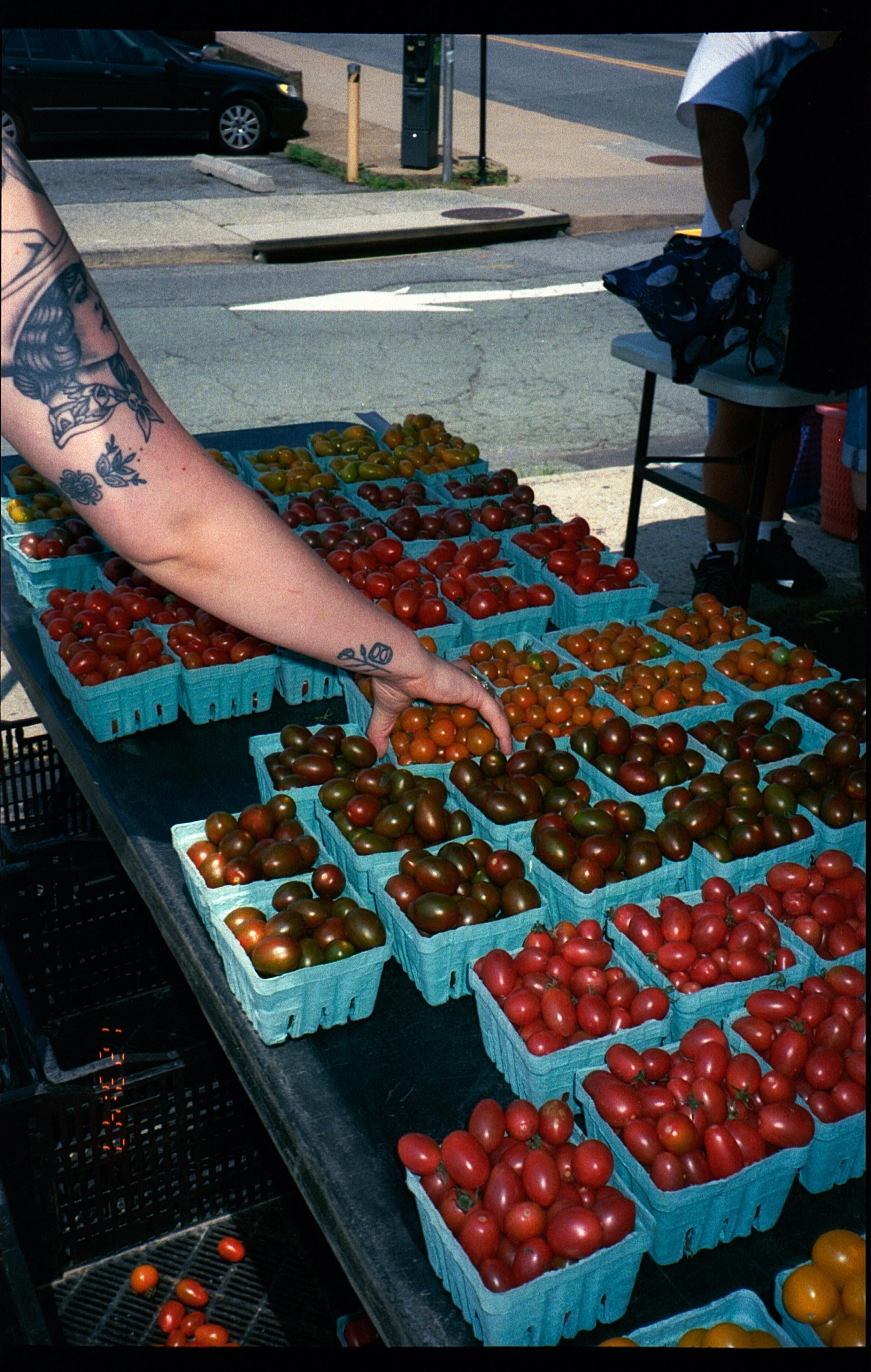 acphoto382.jpg