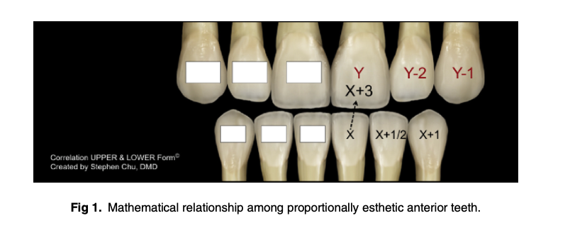Simplifying optimal tooth-size calculations and communications between practitioners