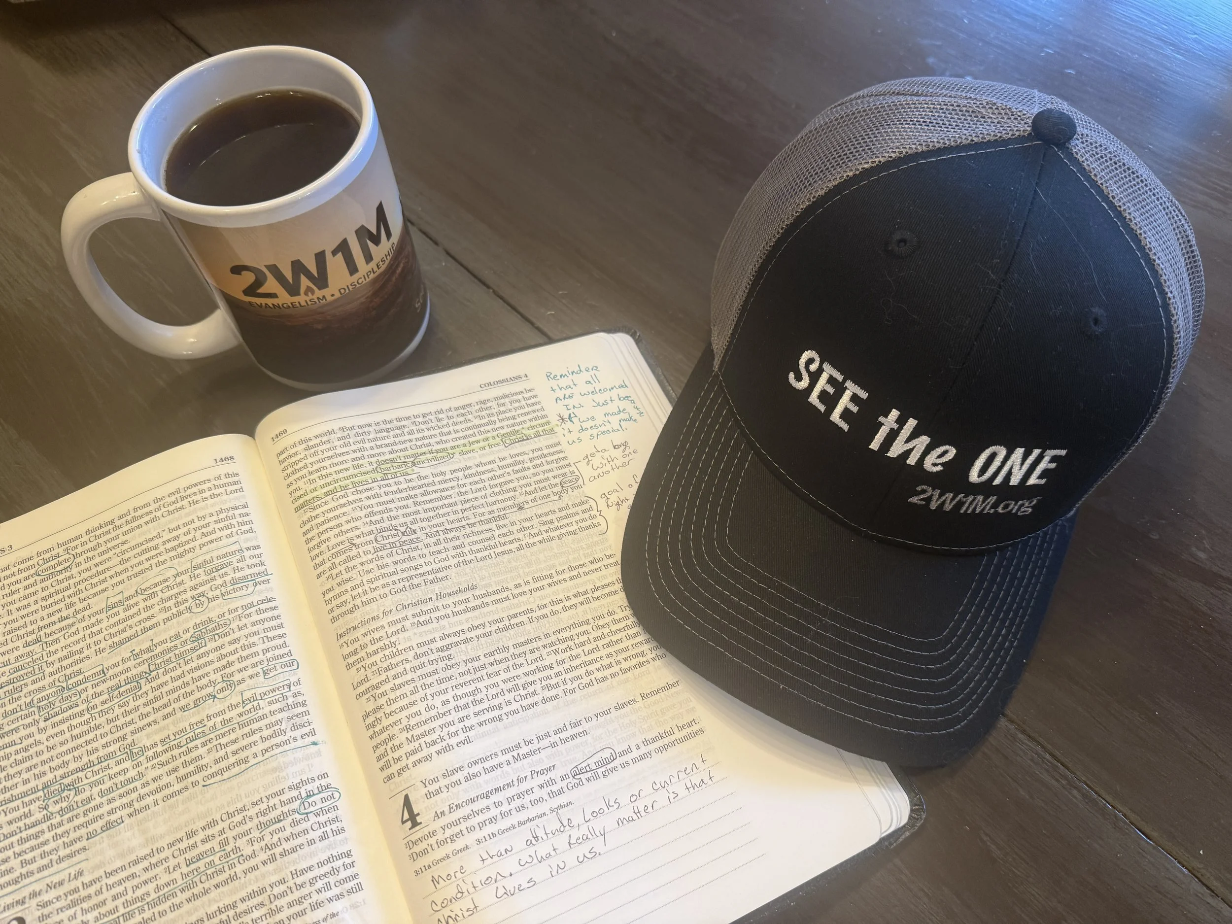 "See the One" Mission Cap