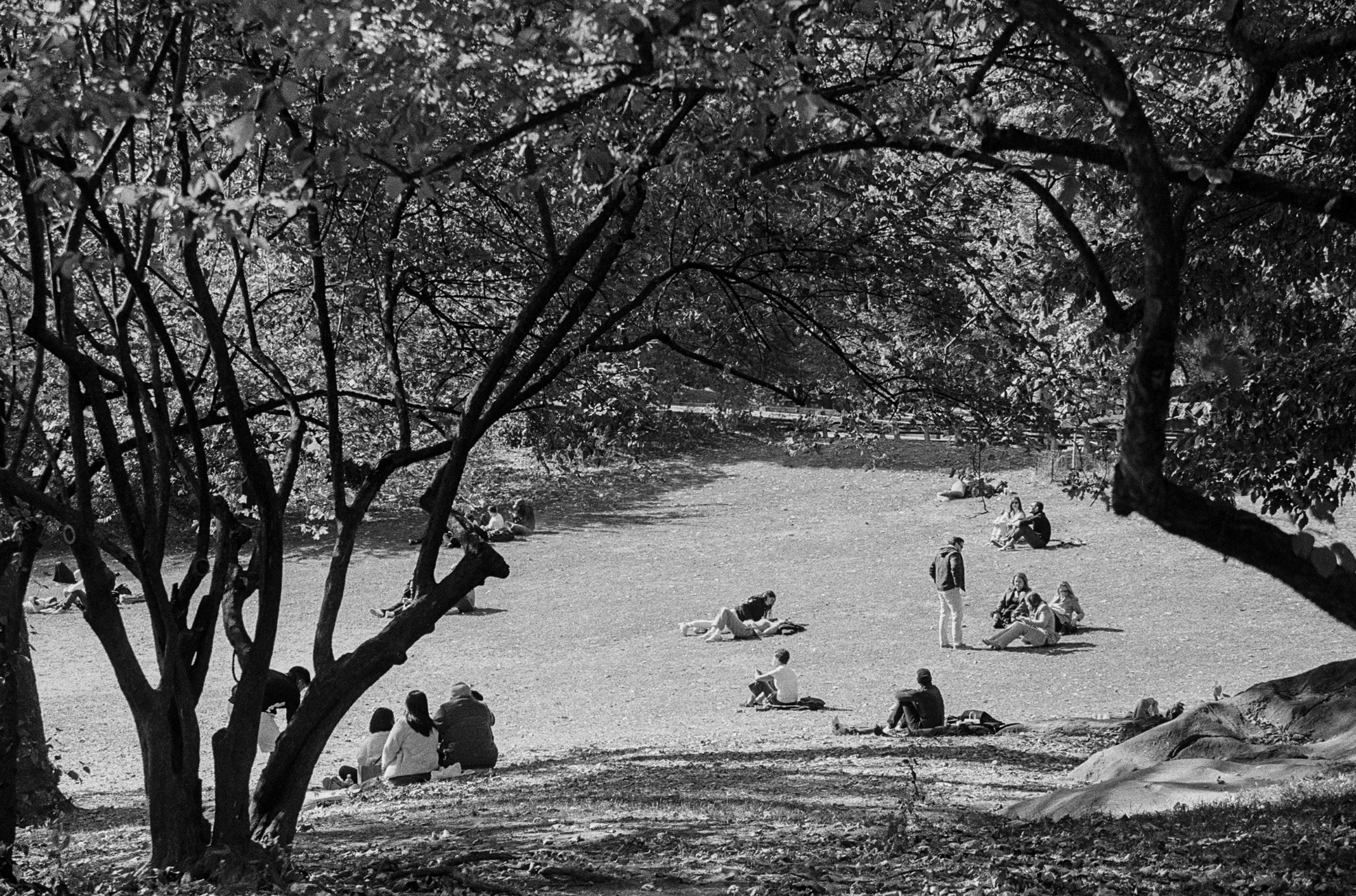 Screenshot 2025-11-20 at 7.35.11 PM.png