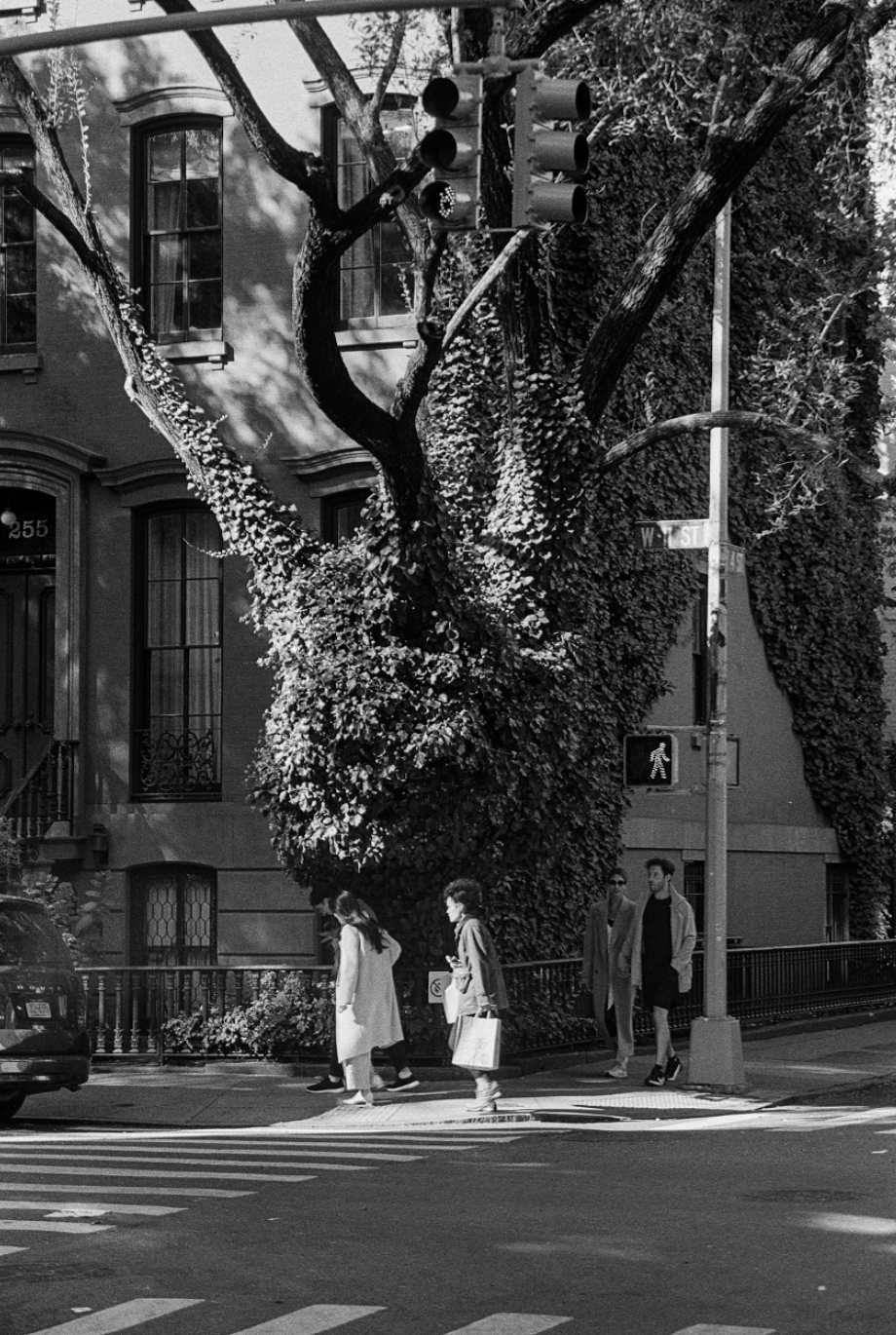 Screenshot 2025-11-20 at 8.12.27 PM.png