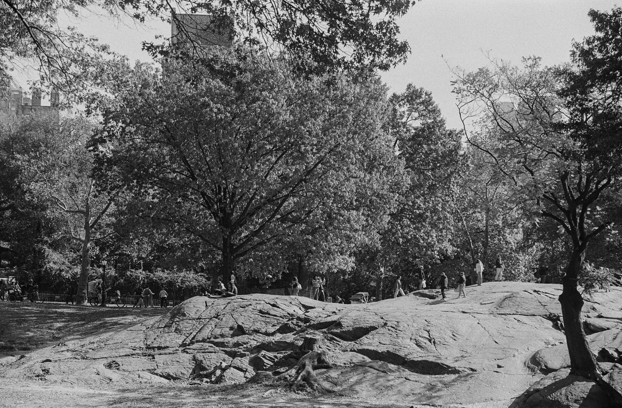 Screenshot 2025-11-20 at 7.32.28 PM.png