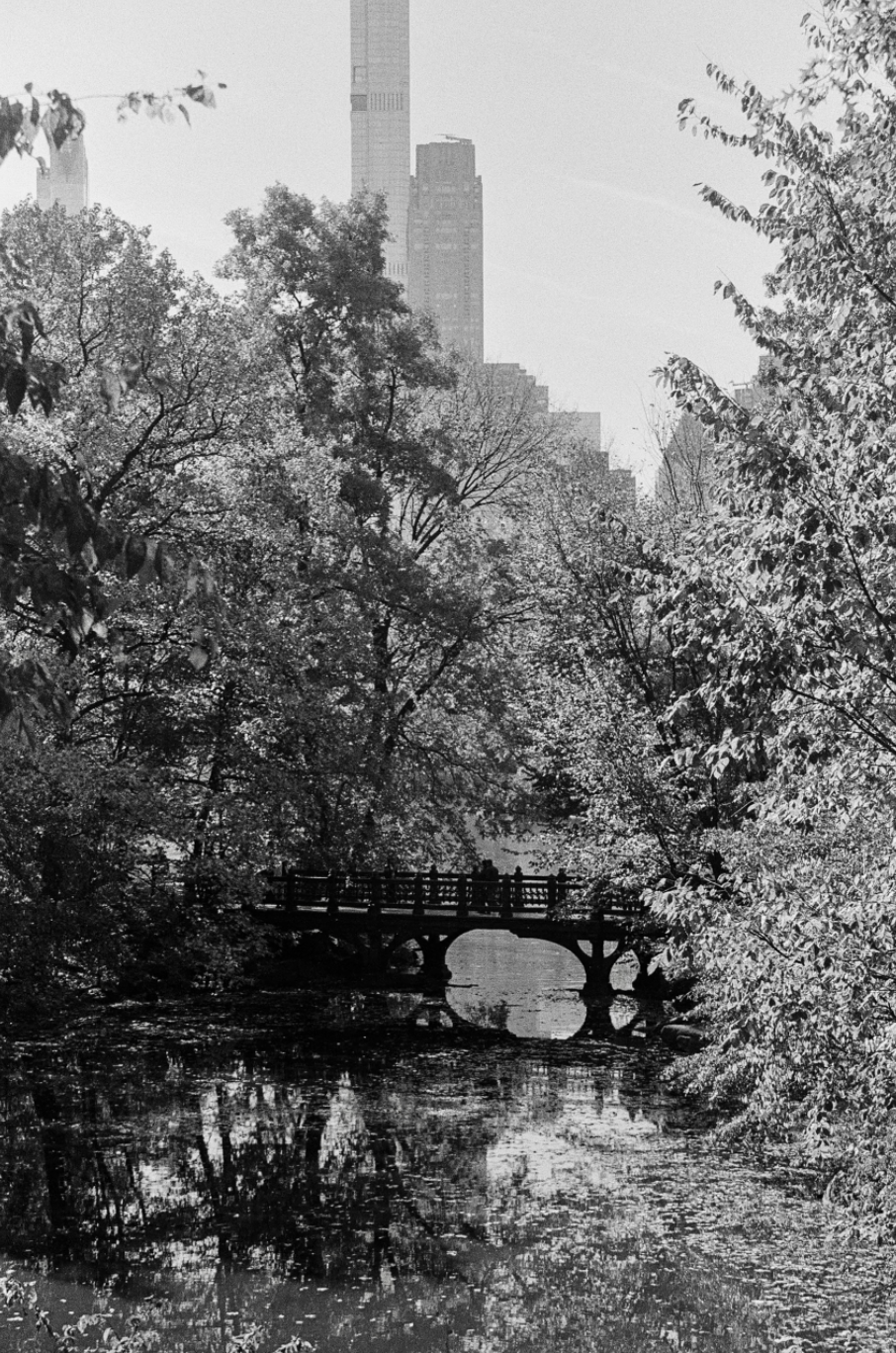 Screenshot 2025-11-20 at 8.15.25 PM.png