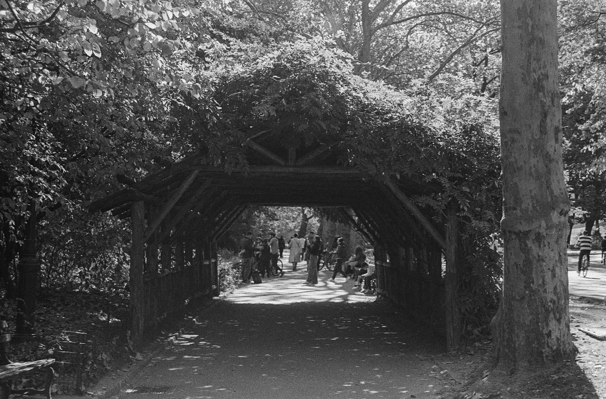 Screenshot 2025-11-20 at 7.52.04 PM.png