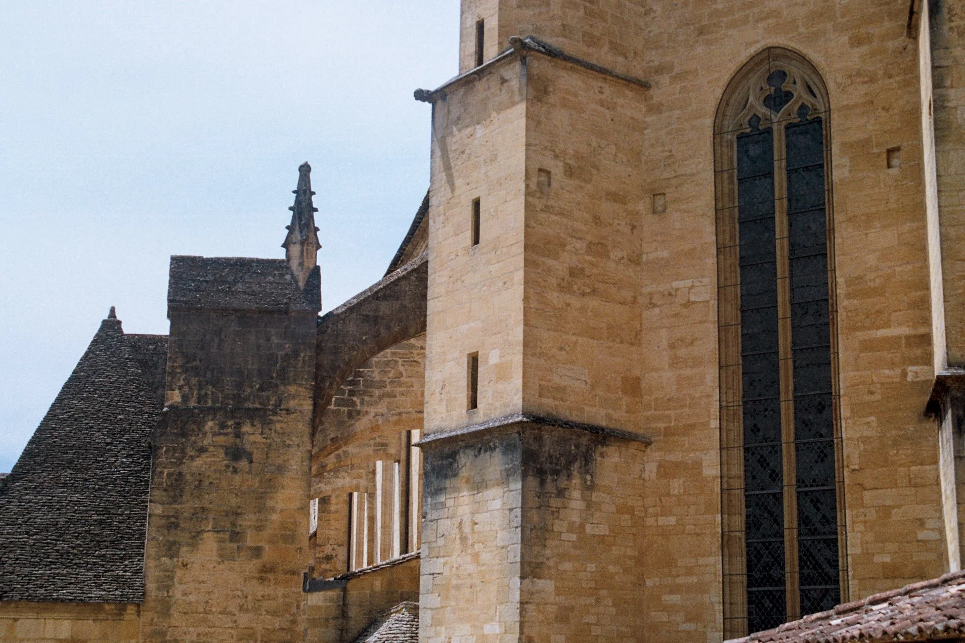 IMG_9355.JPG