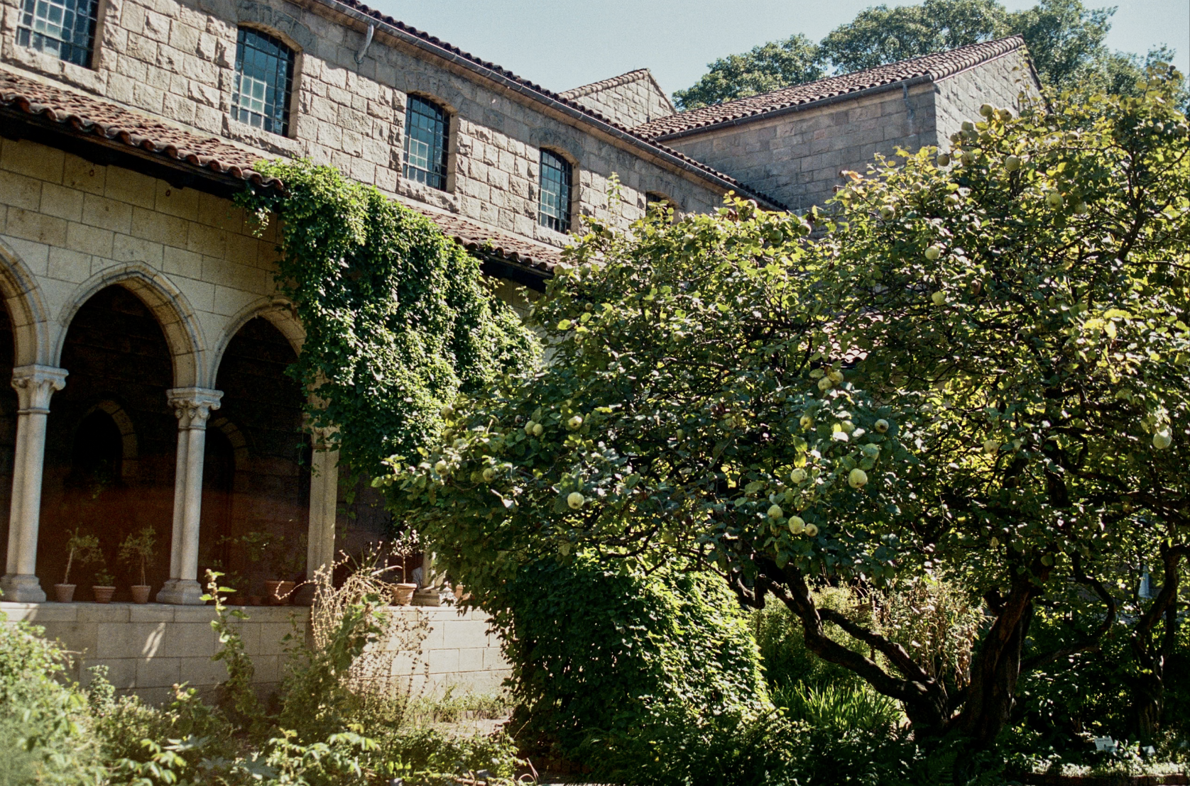 Screenshot 2025-11-20 at 10.56.28 AM.png