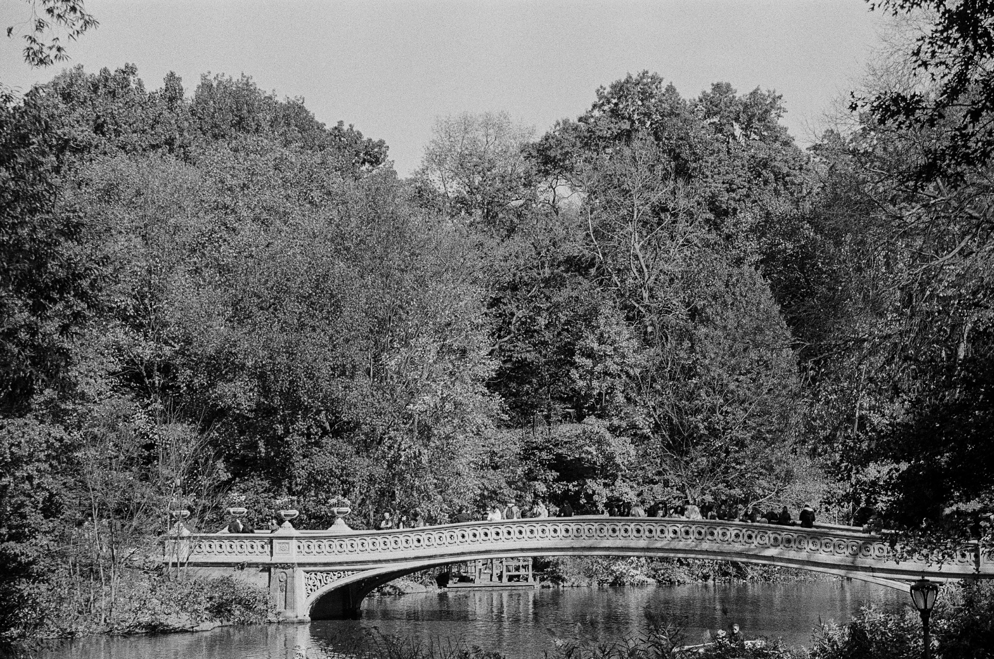 Screenshot 2025-11-20 at 7.50.12 PM.png