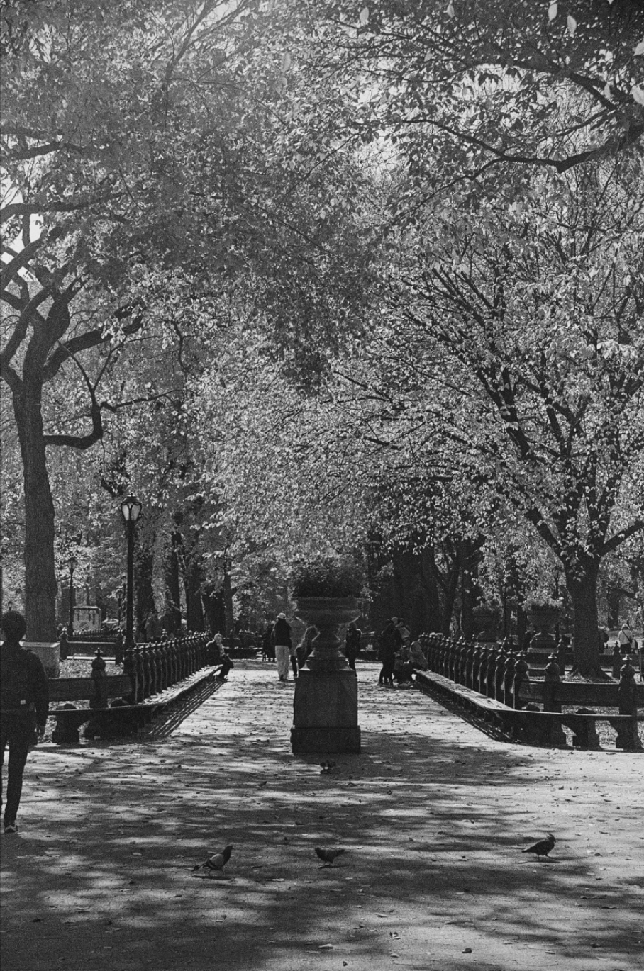 Screenshot 2025-11-20 at 8.14.33 PM.png