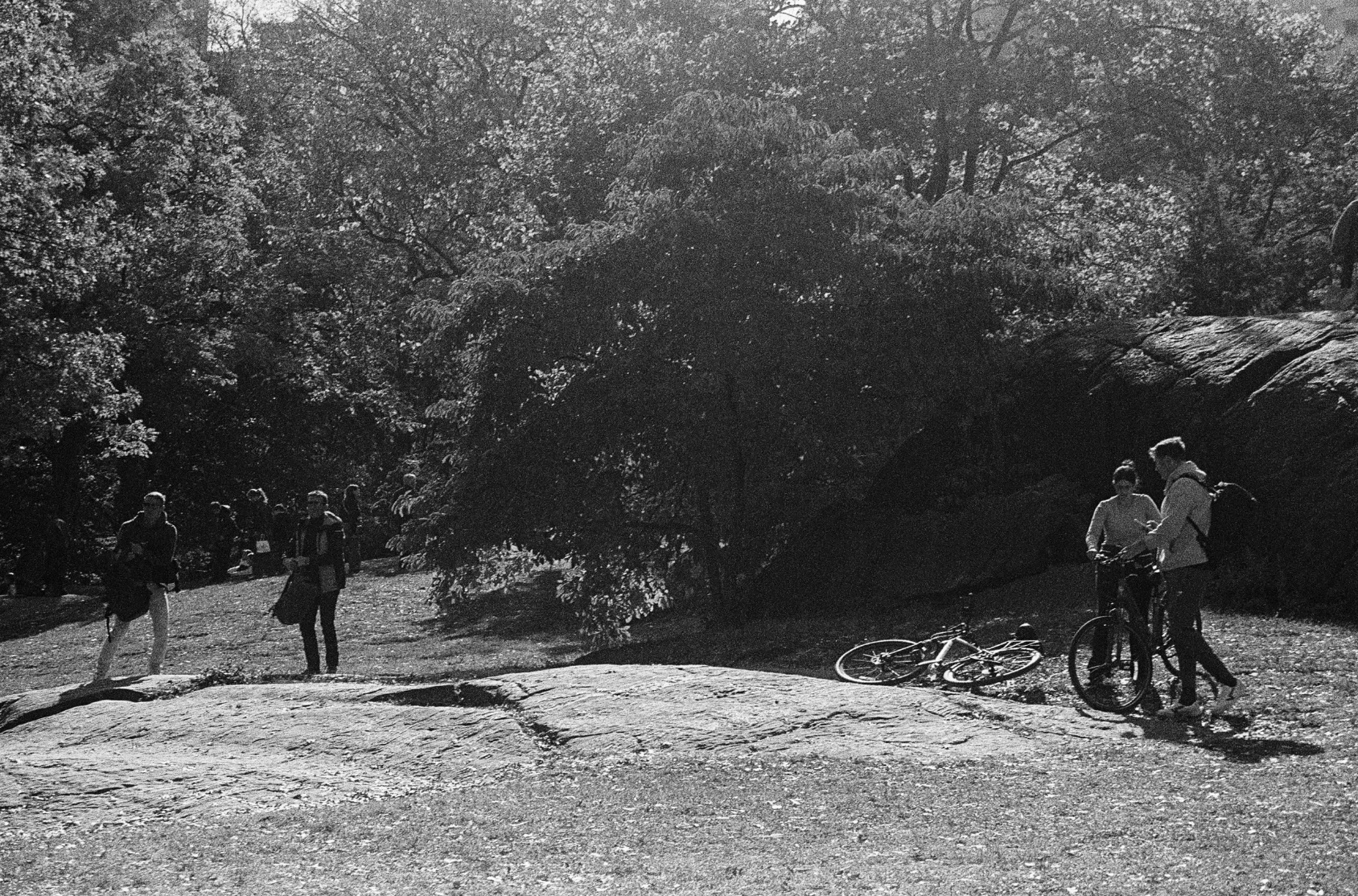 Screenshot 2025-11-20 at 7.26.07 PM.png