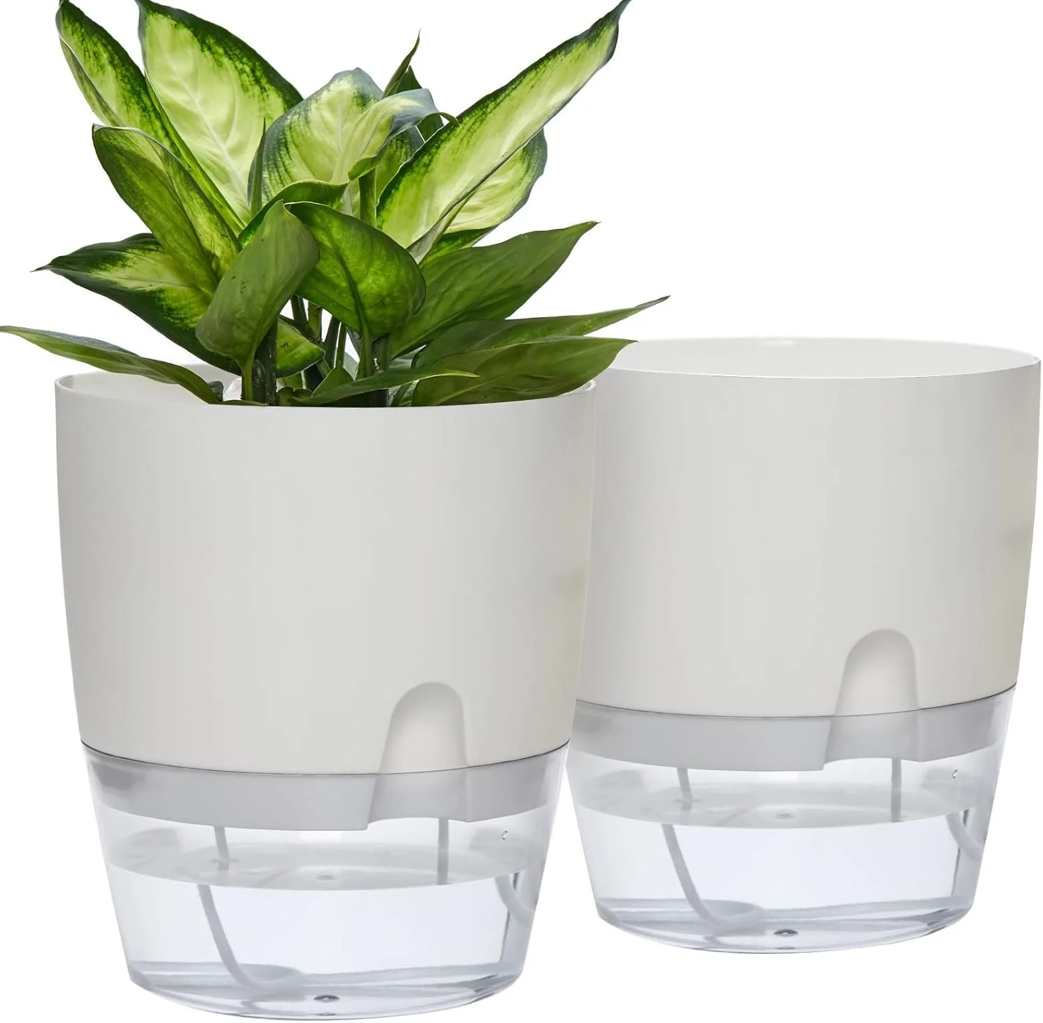 Two modern white planters with transparent water reservoirs at the bottom, one holding a green leafy plant, placed against a plain white background. Self-watering. Stop killing plants. Keep houseplants alive. No hassle. Cute self-watering.