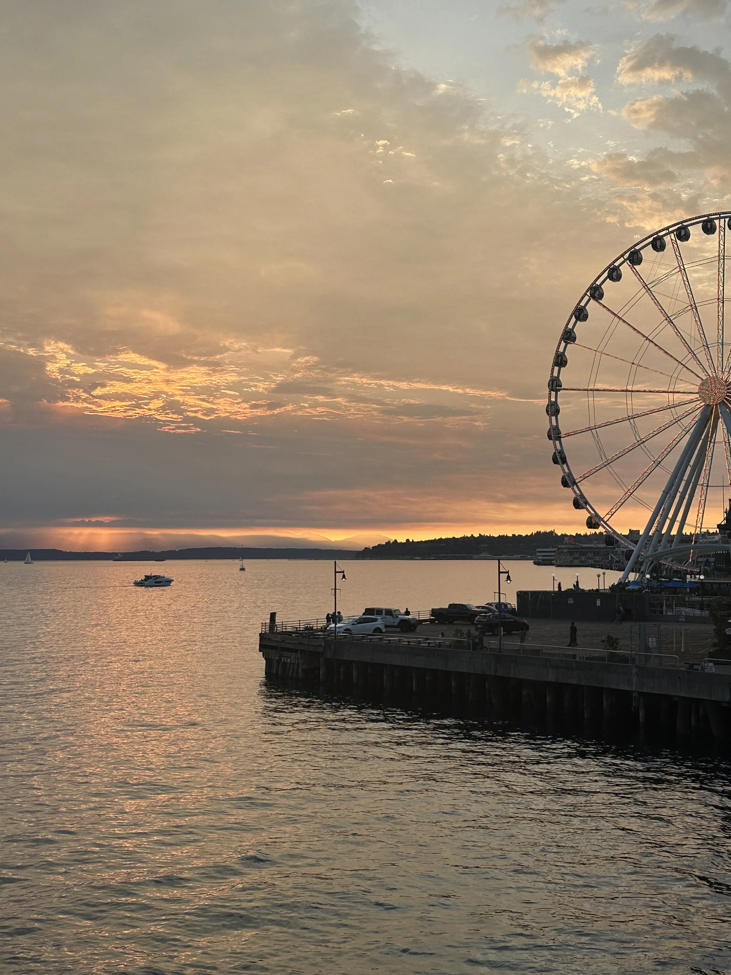 The Ferris wheel at the Seattle Waterfront.