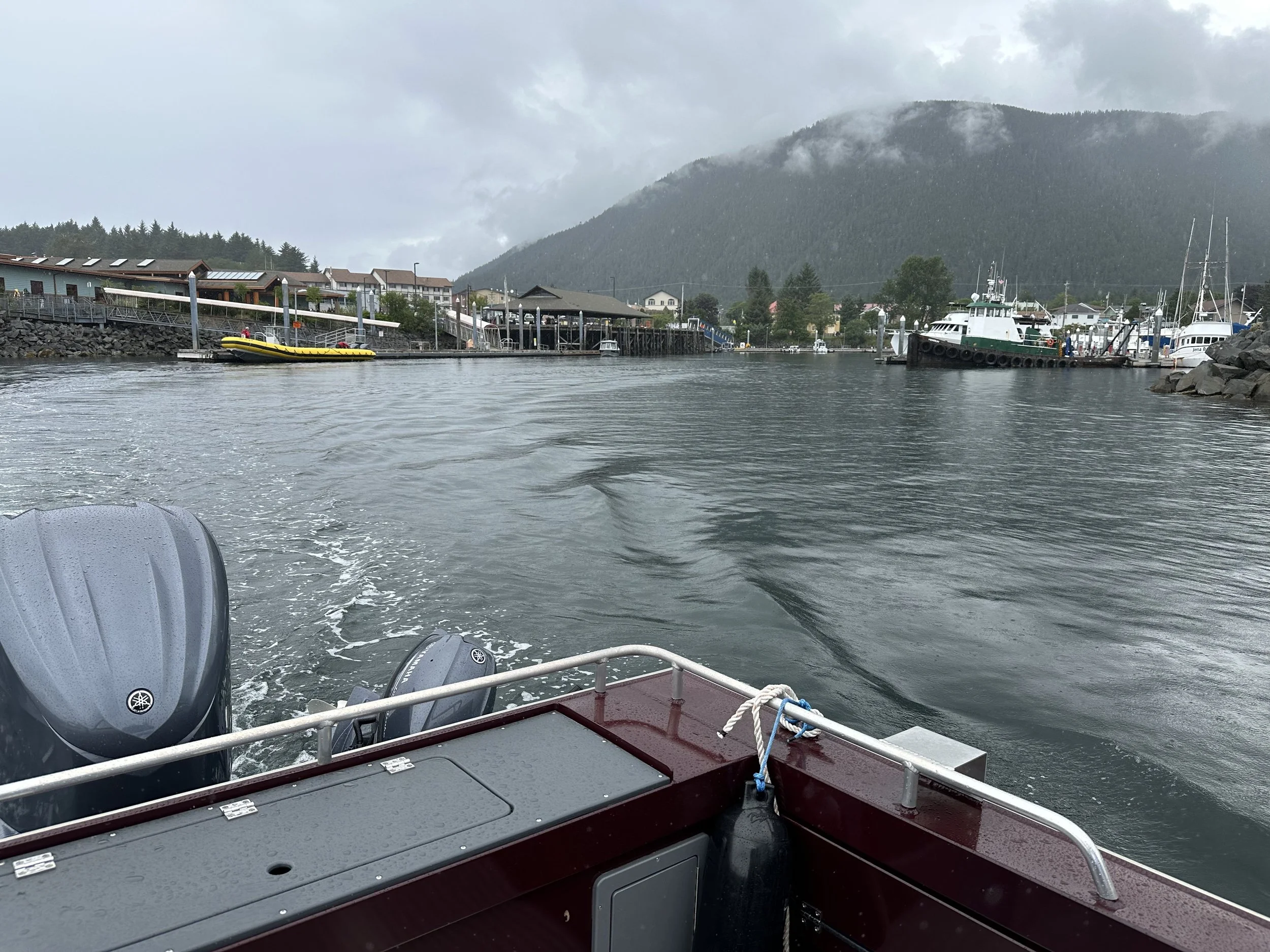 whale watching excursion with Gary and Gavin, a father/son duo: Tlingit Sea Tours (great experience)