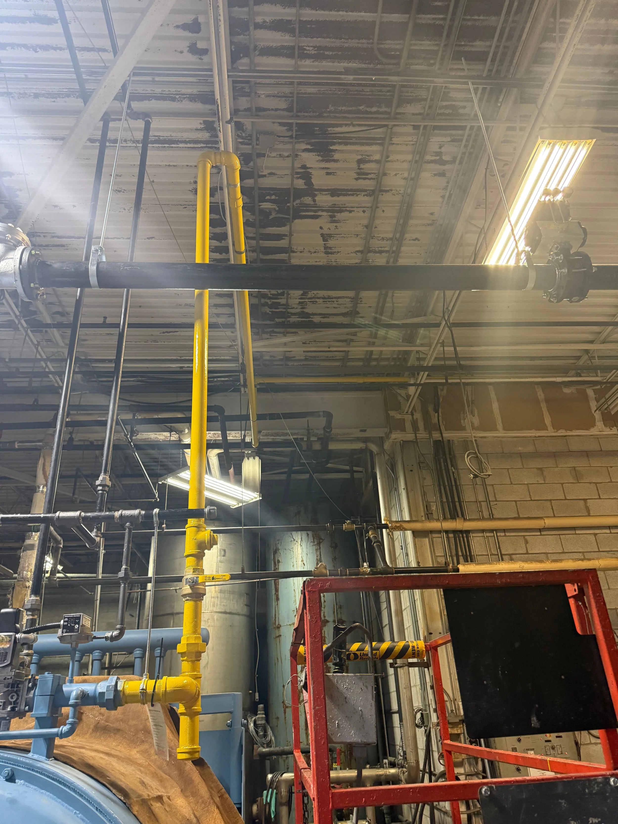 Untitled design (1).jpg