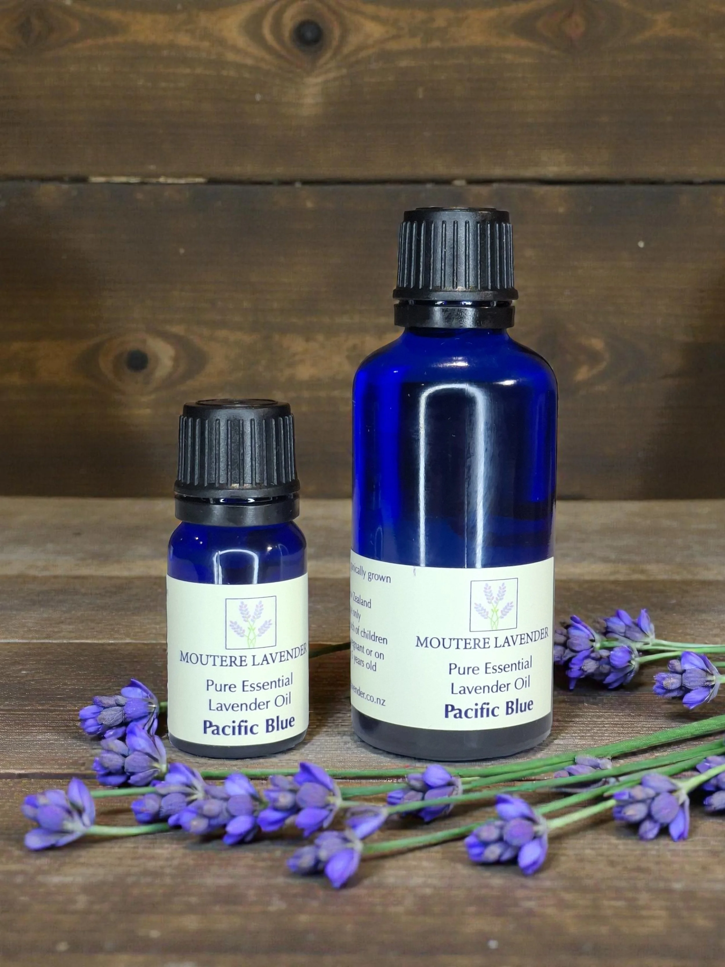 Pacific Blue large.jpg