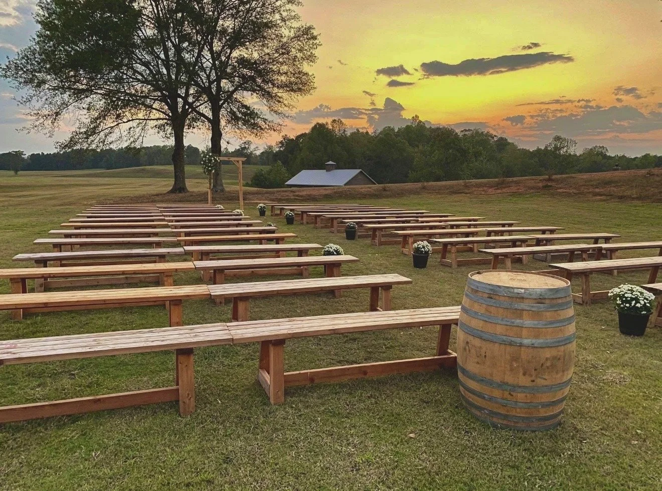 Outdoor wedding ceremony setup with wooden benches arranged on a grassy field, decorated with potted white flowers, under an arch near a large tree during sunset.