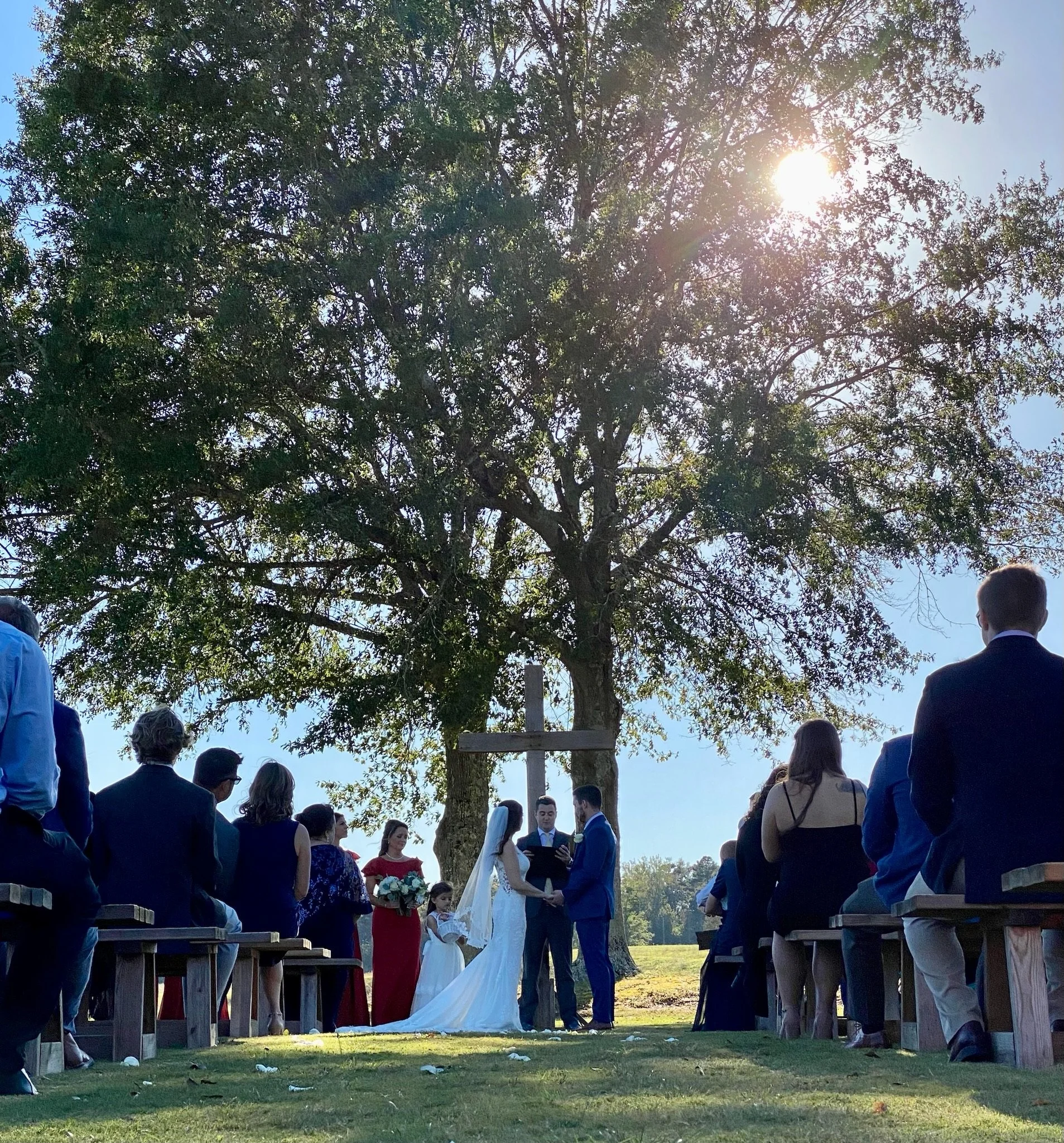 A wedding ceremony taking place outdoors under a large tree with the bride and groom holding hands in front of an officiant, surrounded by seated guests and a flower girl, with sunlight filtering through the leaves.