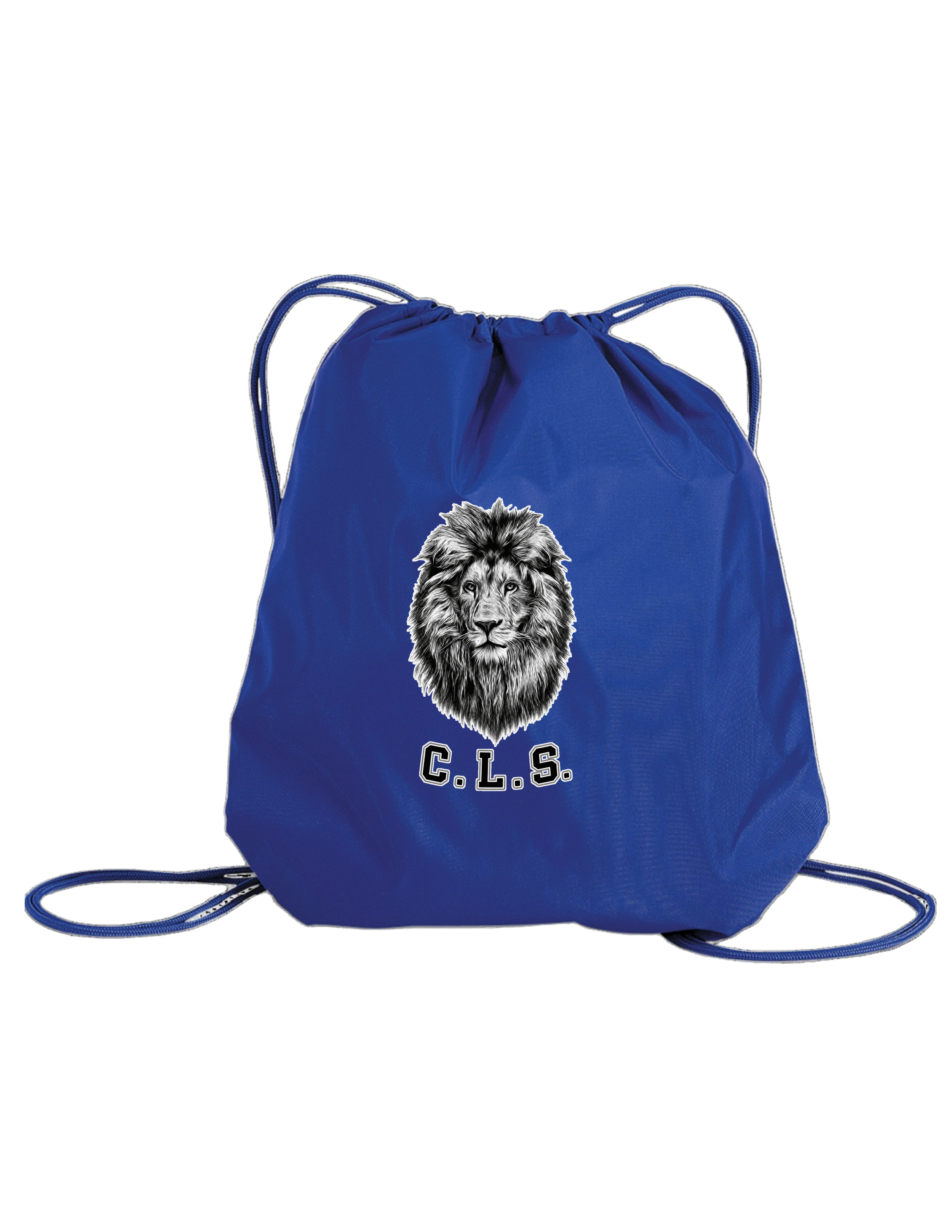 Bag.png