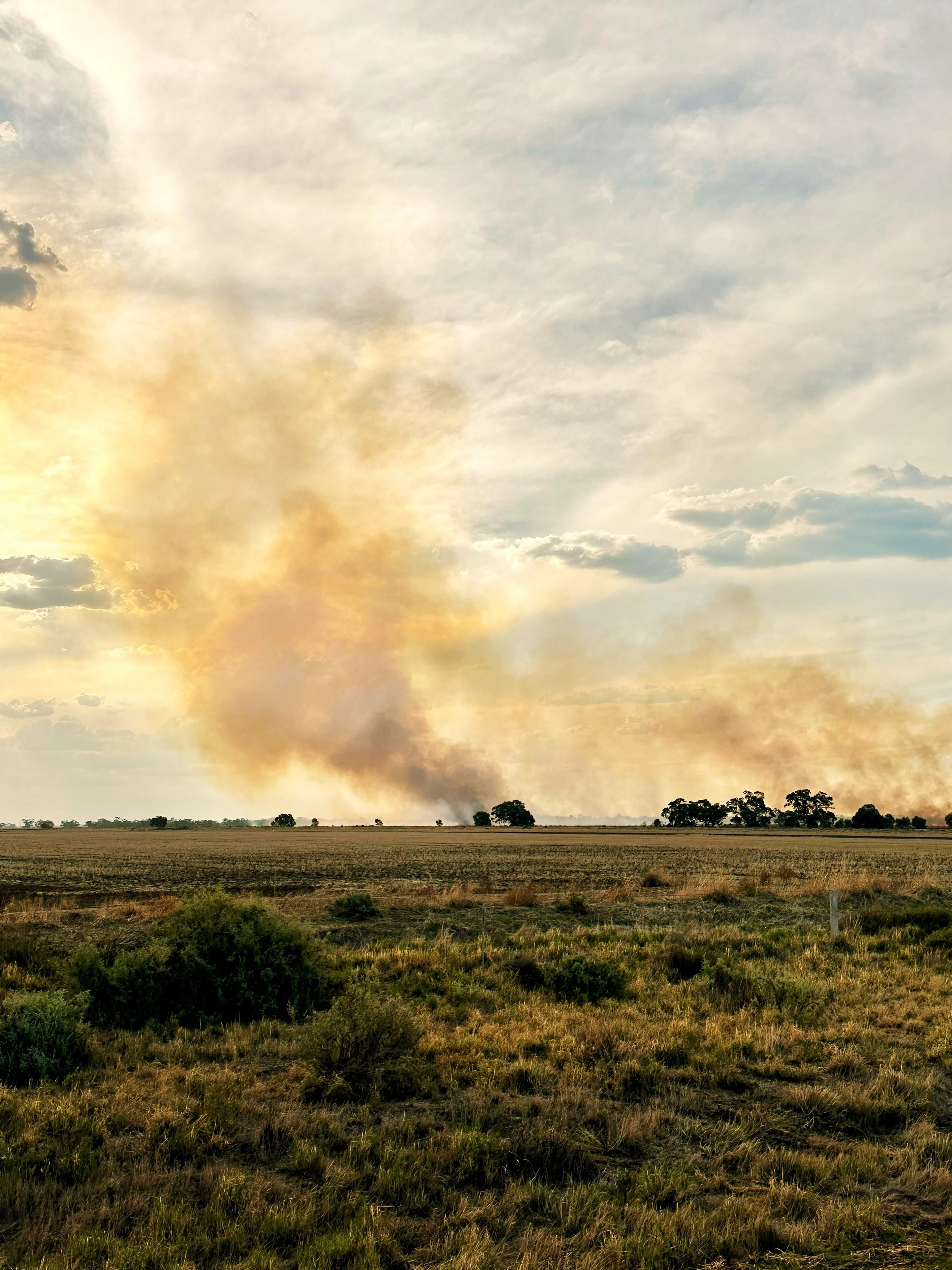 Open field with smoke rising from a fire near the horizon under a partly cloudy sky.