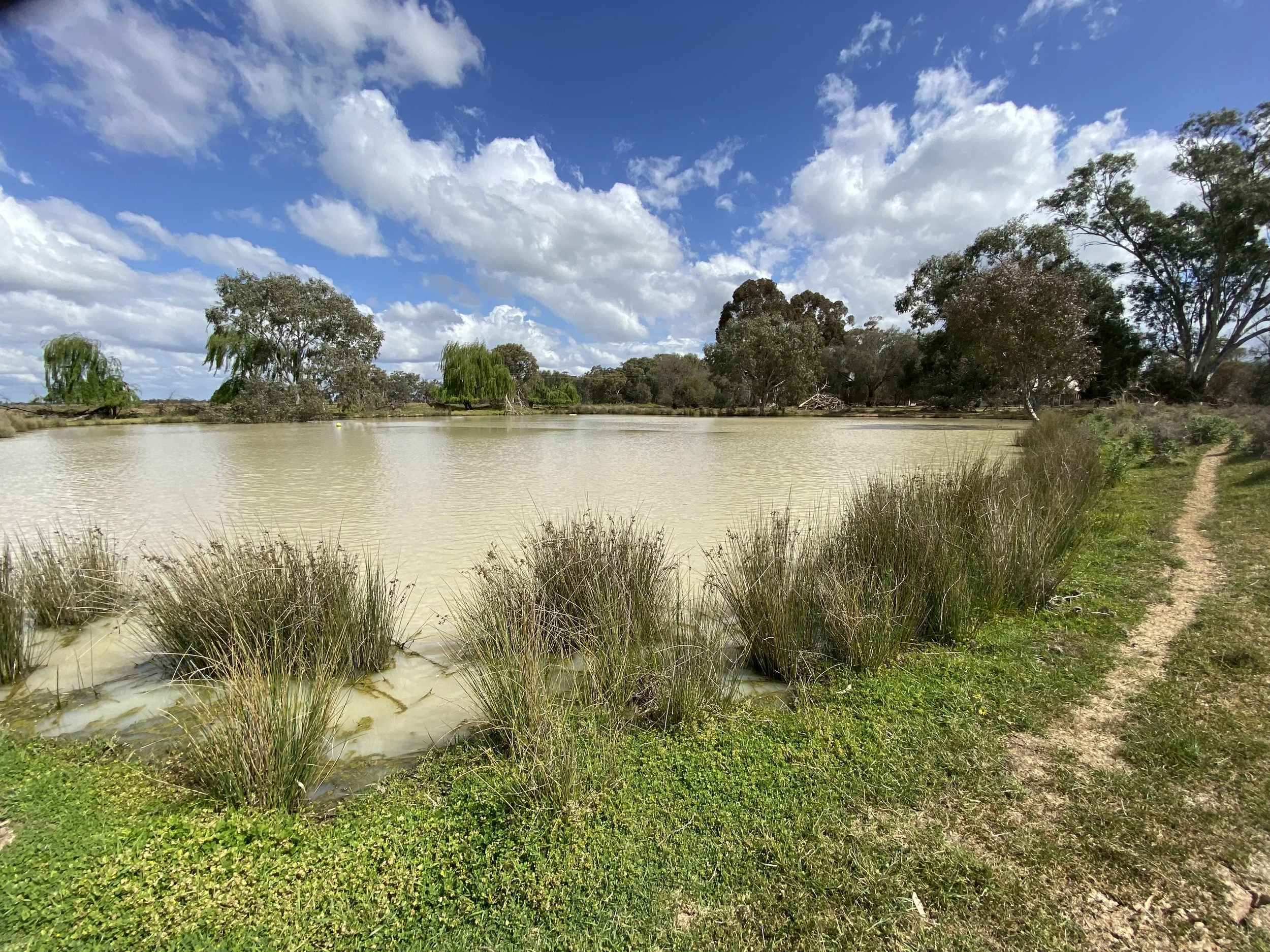 Farm Water Management Plan Project