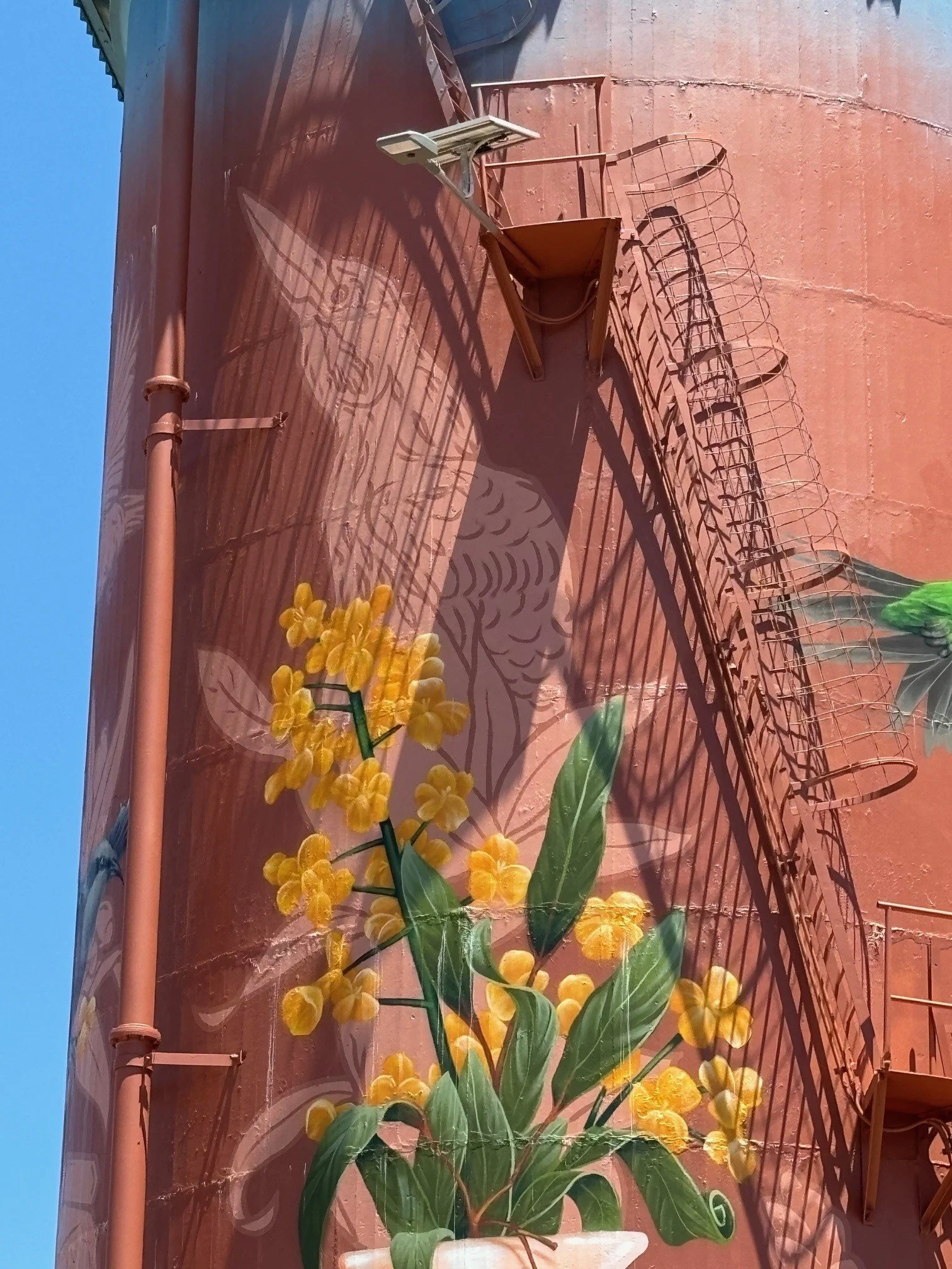 Berrigan Water Tower Project