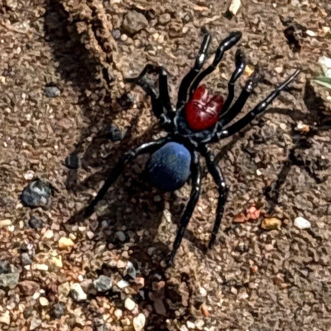 🌿 iNaturalist Workshop &mdash; Government Tank Paddock wrap‑up
Thanks to everyone who joined our iNaturalist workshop at the Government Tank Paddock in Berrigan. After the rain, the paddock came alive, and the very first thing we spotted was a red‑h