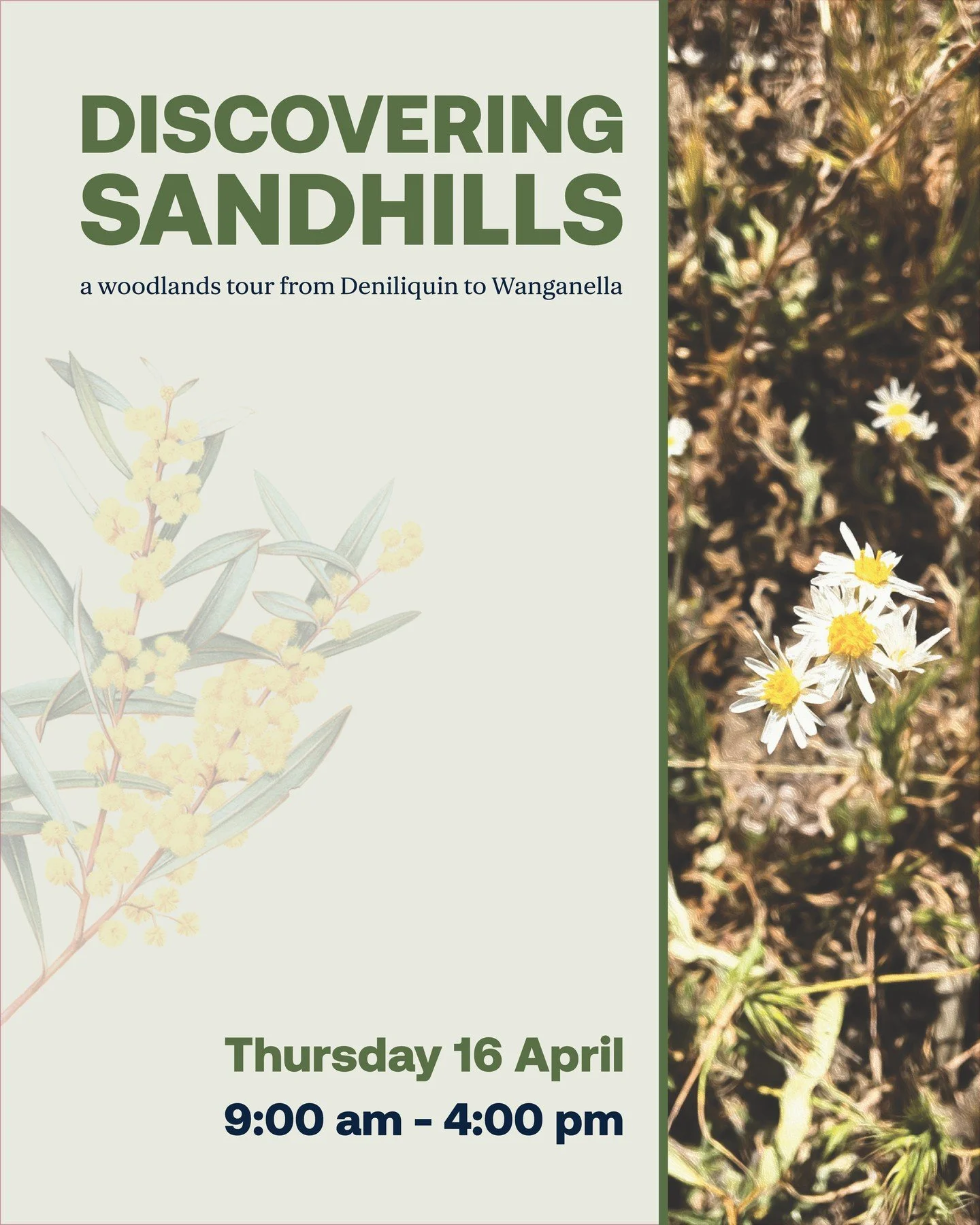 🌾 Discovering Sandhills &ndash; Woodlands Tour 🌾

Join RGA Landcare for a guided tour from Deniliquin to Wanganella, exploring sandhill vegetation, revegetation sites and biodiversity in action.

📅 Thurs 16 April 2026
⏰ 9am&ndash;4pm
💲 FREE | ☕🥪