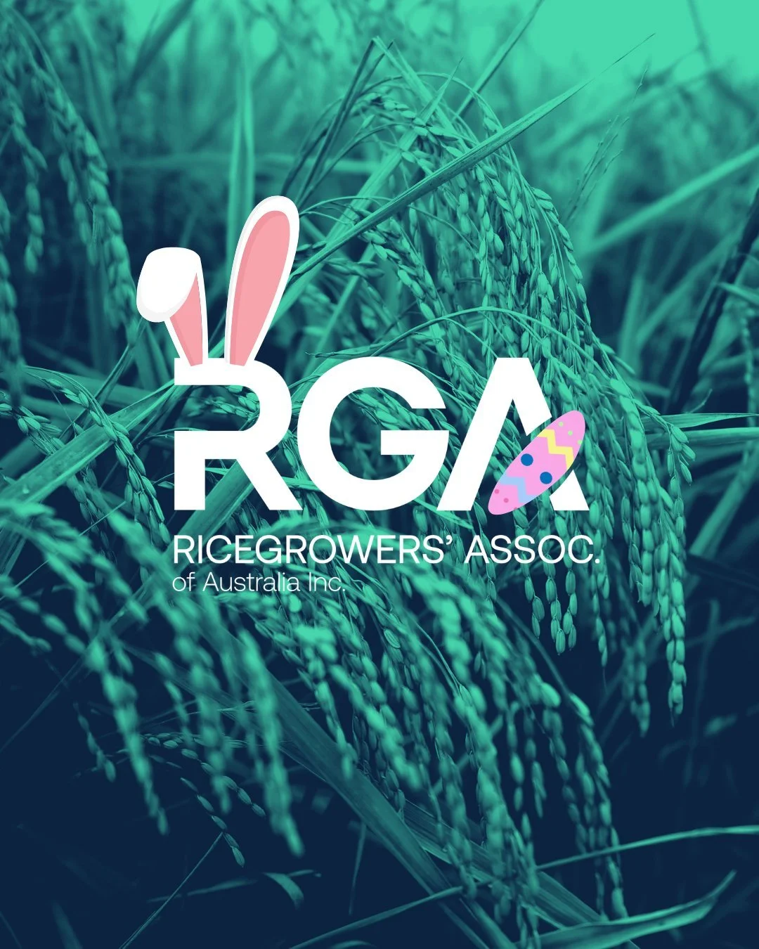 Happy Easter Sunday!! 🌾

We know many rice growers will be right in the middle of harvest today.

From all of us at the RGA, we wish you a safe day in the paddock, reliable weather, and a smooth run through this busy period.

We also extend Easter w